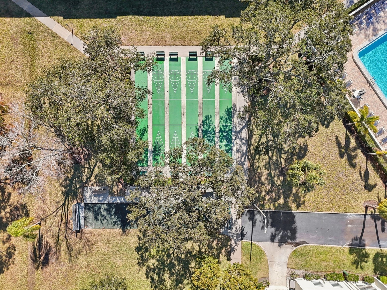 2700 Bayshore Boulevard #1305 Dunedin FL 34698 TB8482214 image32