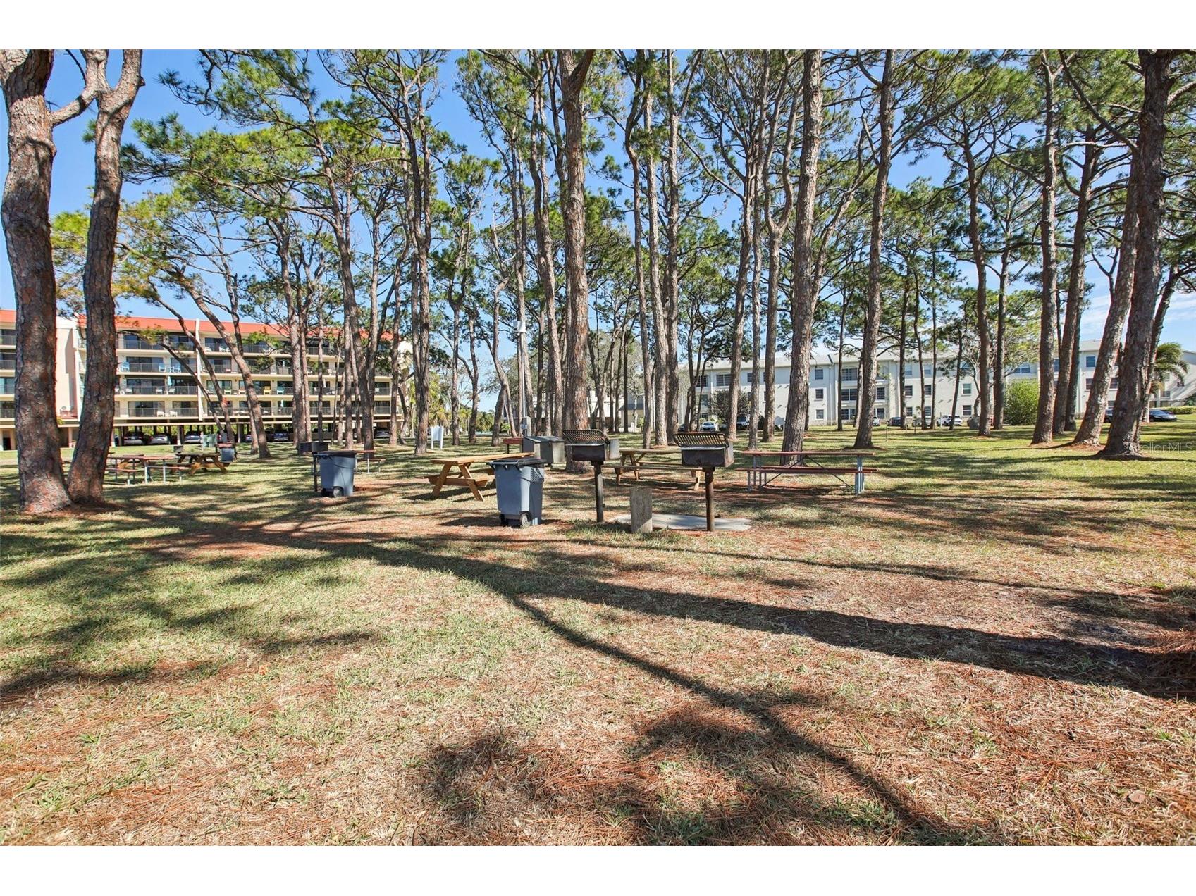 2700 Bayshore Boulevard #1305 Dunedin FL 34698 TB8482214 image35