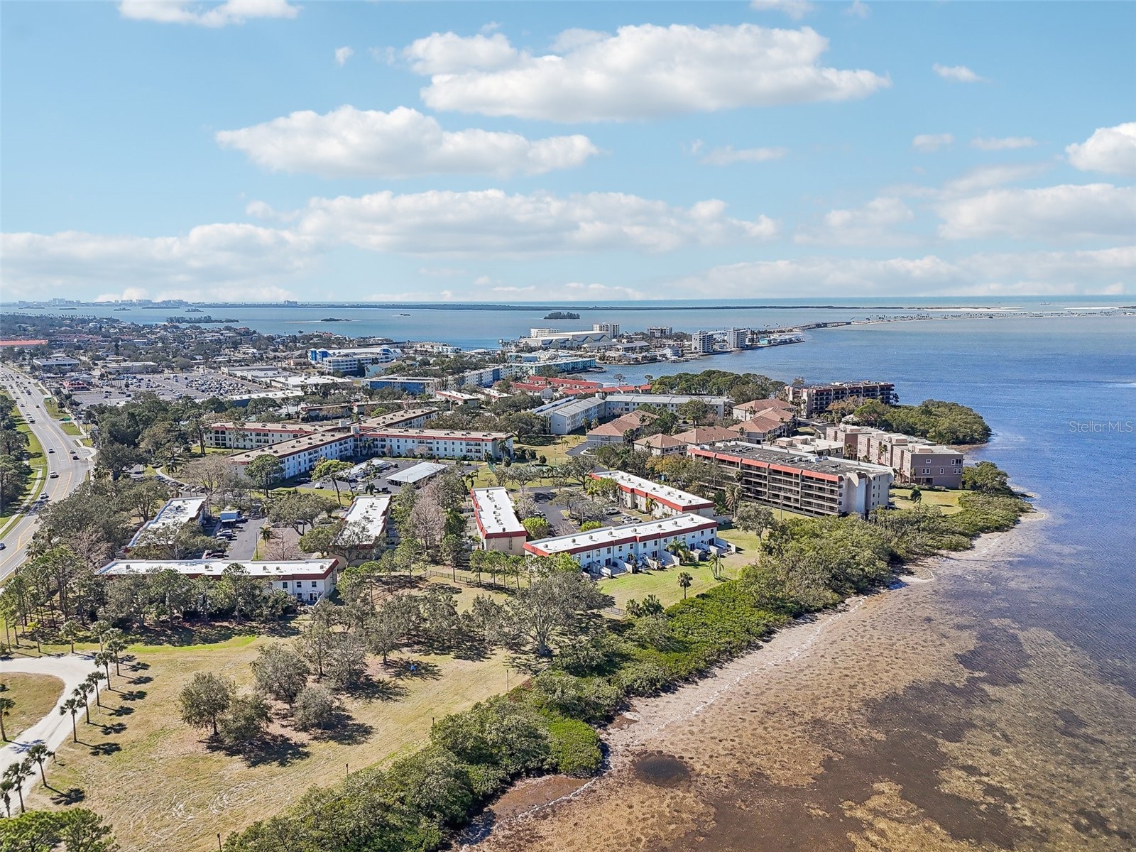 2700 Bayshore Boulevard #1305 Dunedin FL 34698 TB8482214 image47