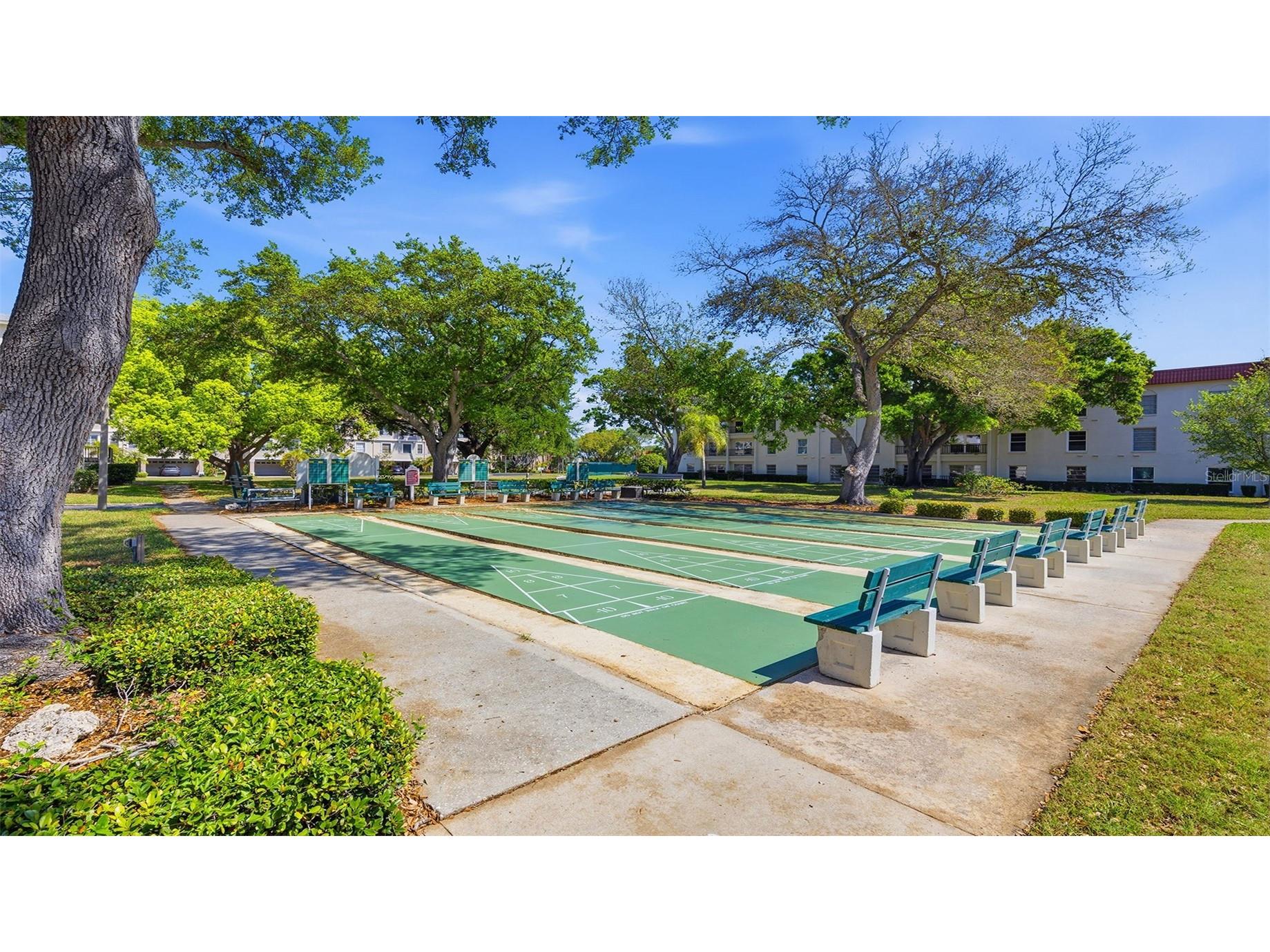 2700 Bayshore Boulevard #1307 Dunedin FL 34698 TB8492210 image27