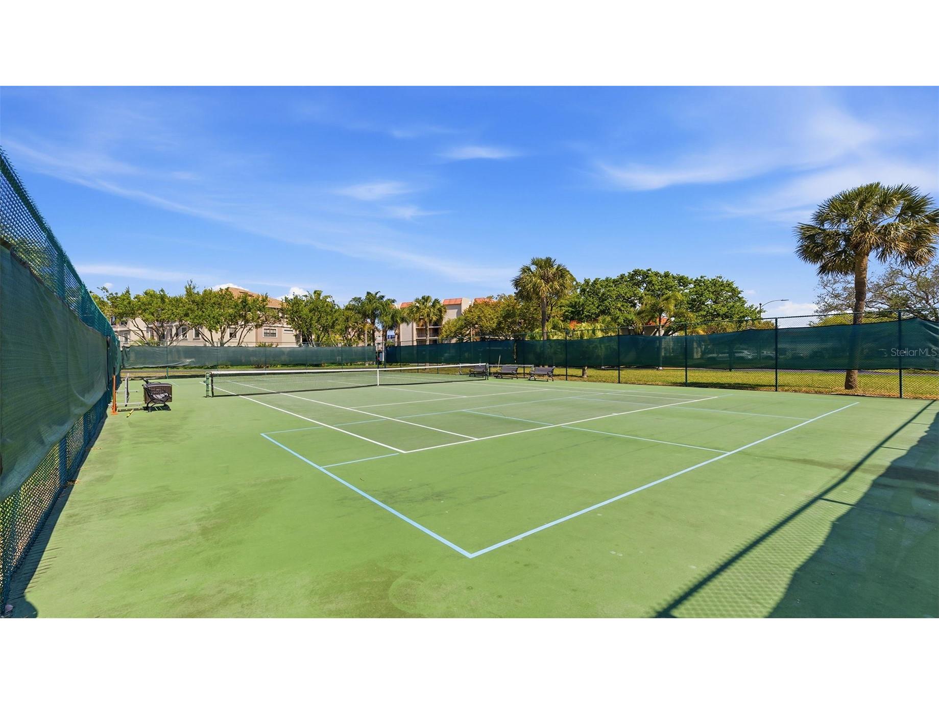 2700 Bayshore Boulevard #1307 Dunedin FL 34698 TB8492210 image29