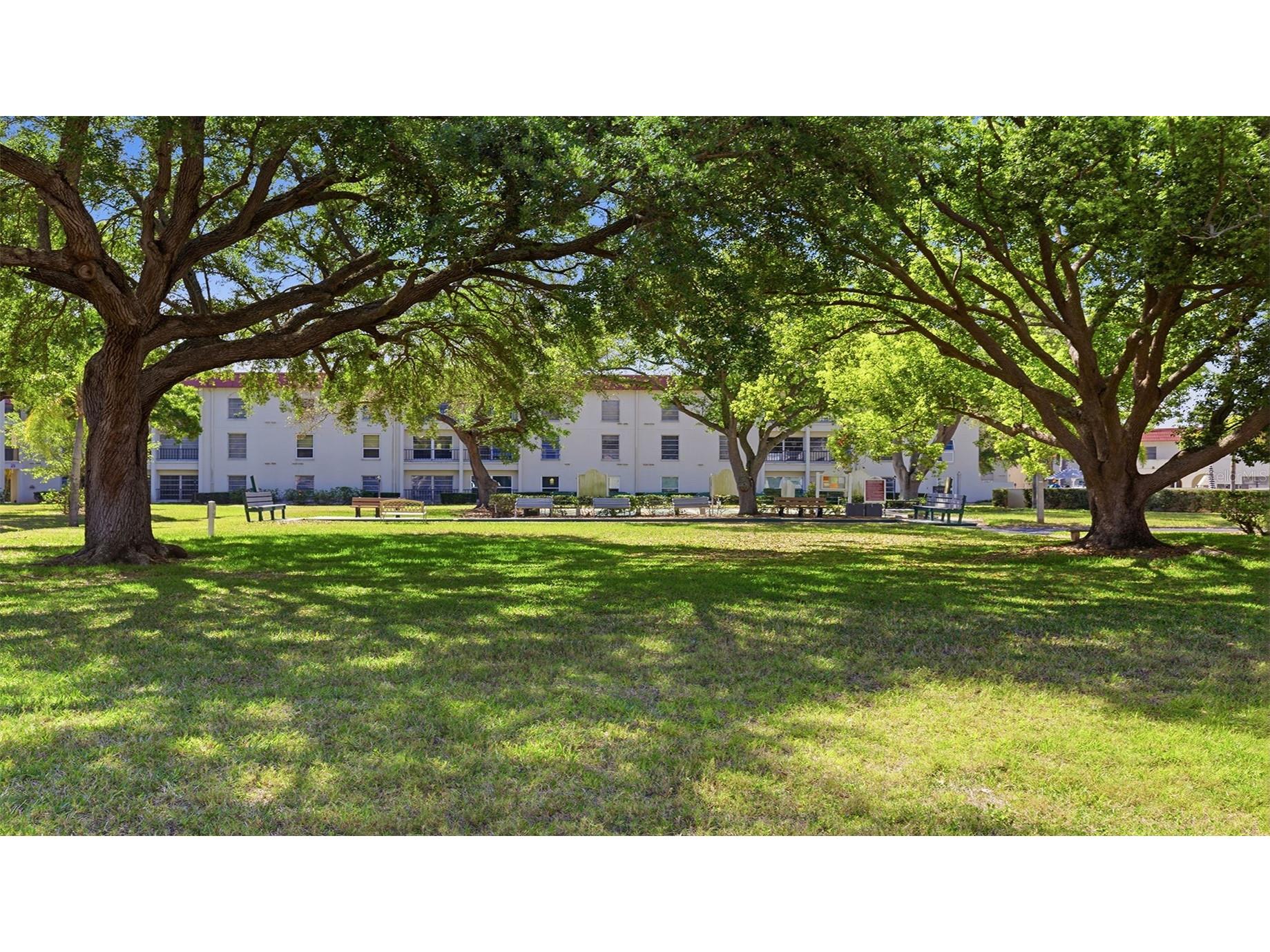 2700 Bayshore Boulevard #1307 Dunedin FL 34698 TB8492210 image30