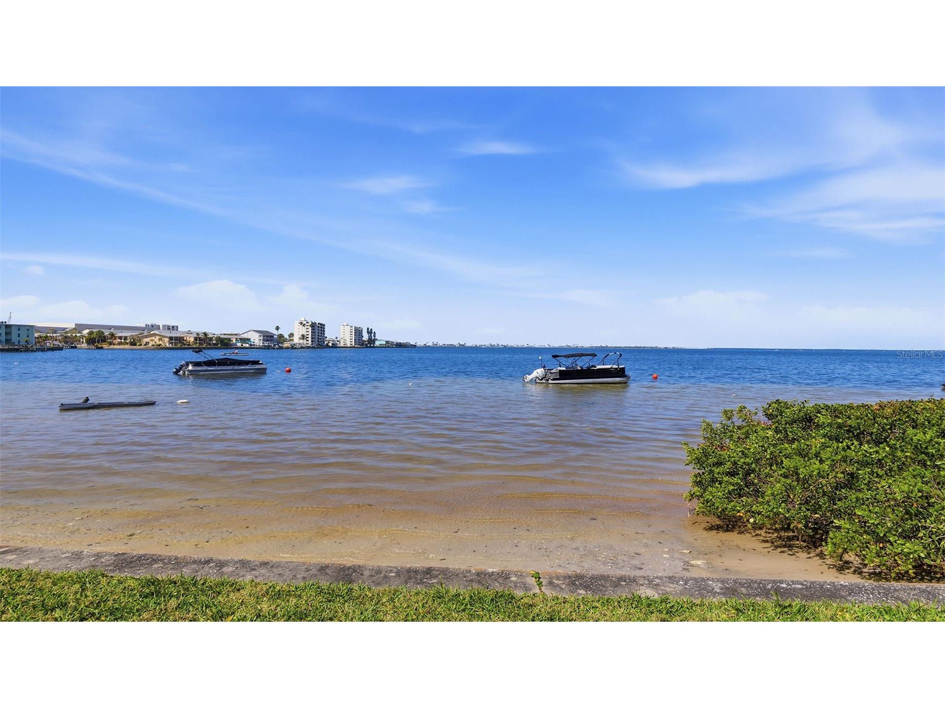2700 Bayshore Boulevard #1307 Dunedin FL 34698 TB8492210 image32
