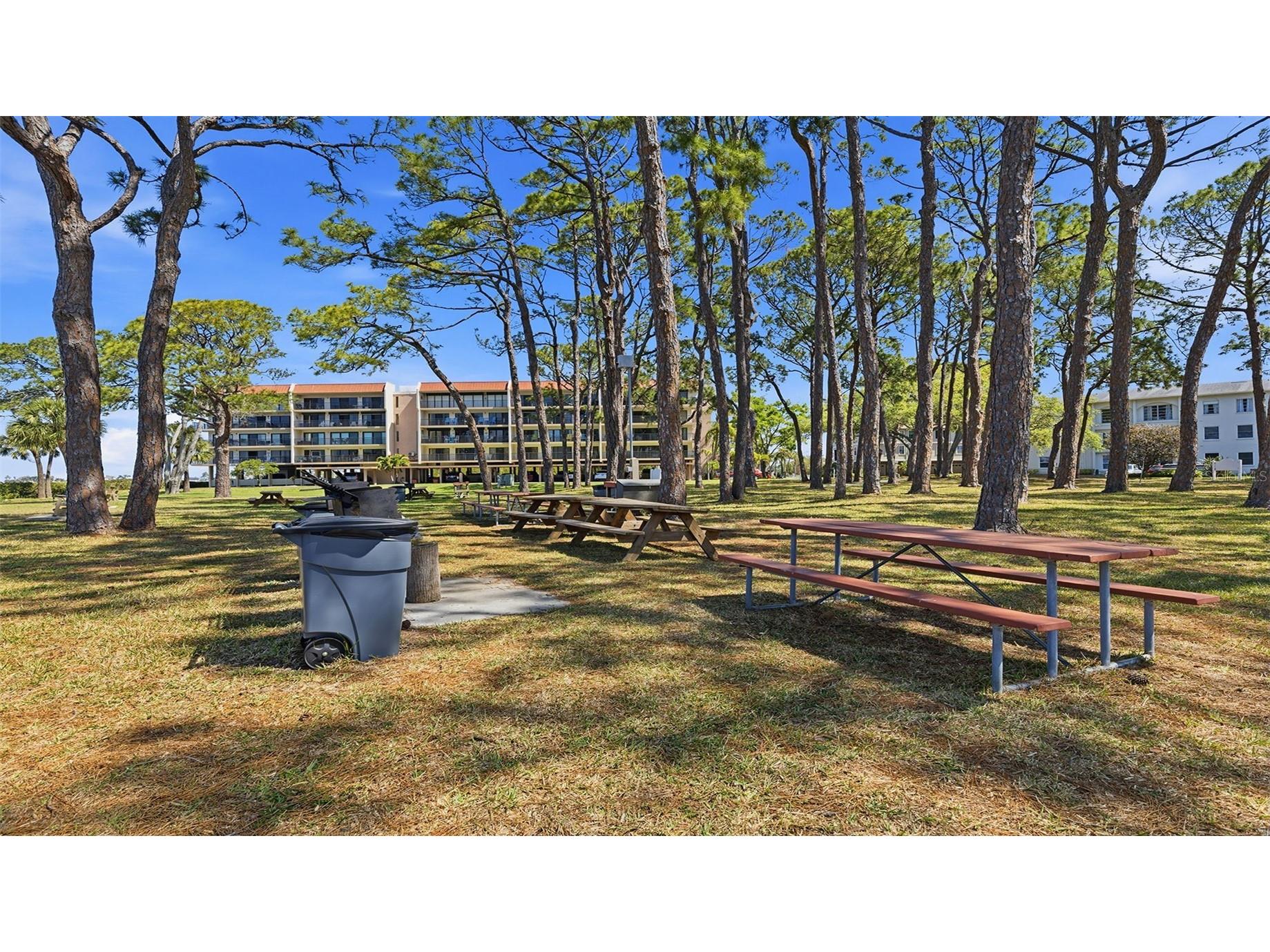 2700 Bayshore Boulevard #1307 Dunedin FL 34698 TB8492210 image33