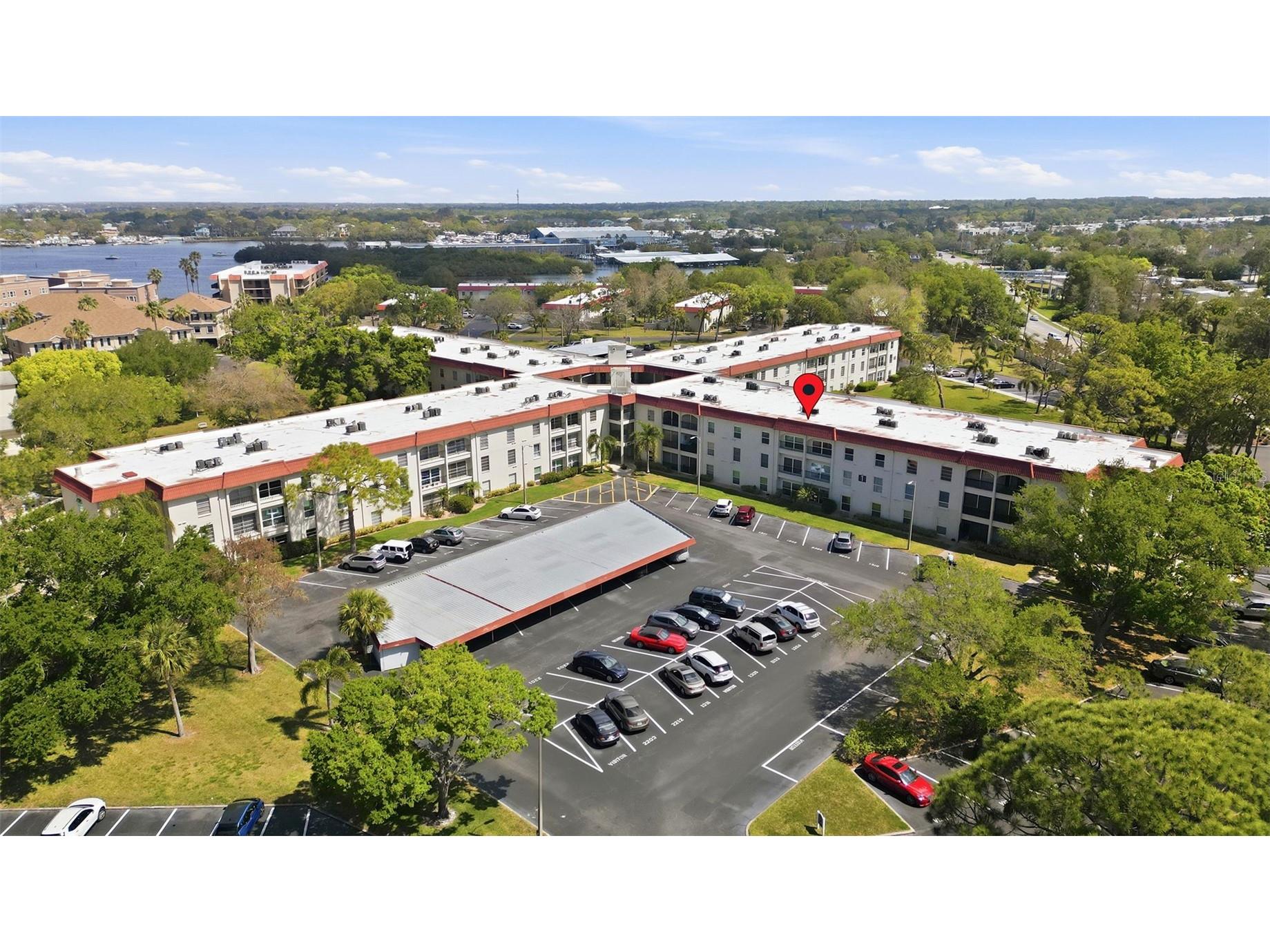2700 Bayshore Boulevard #1307 Dunedin FL 34698 TB8492210 image39