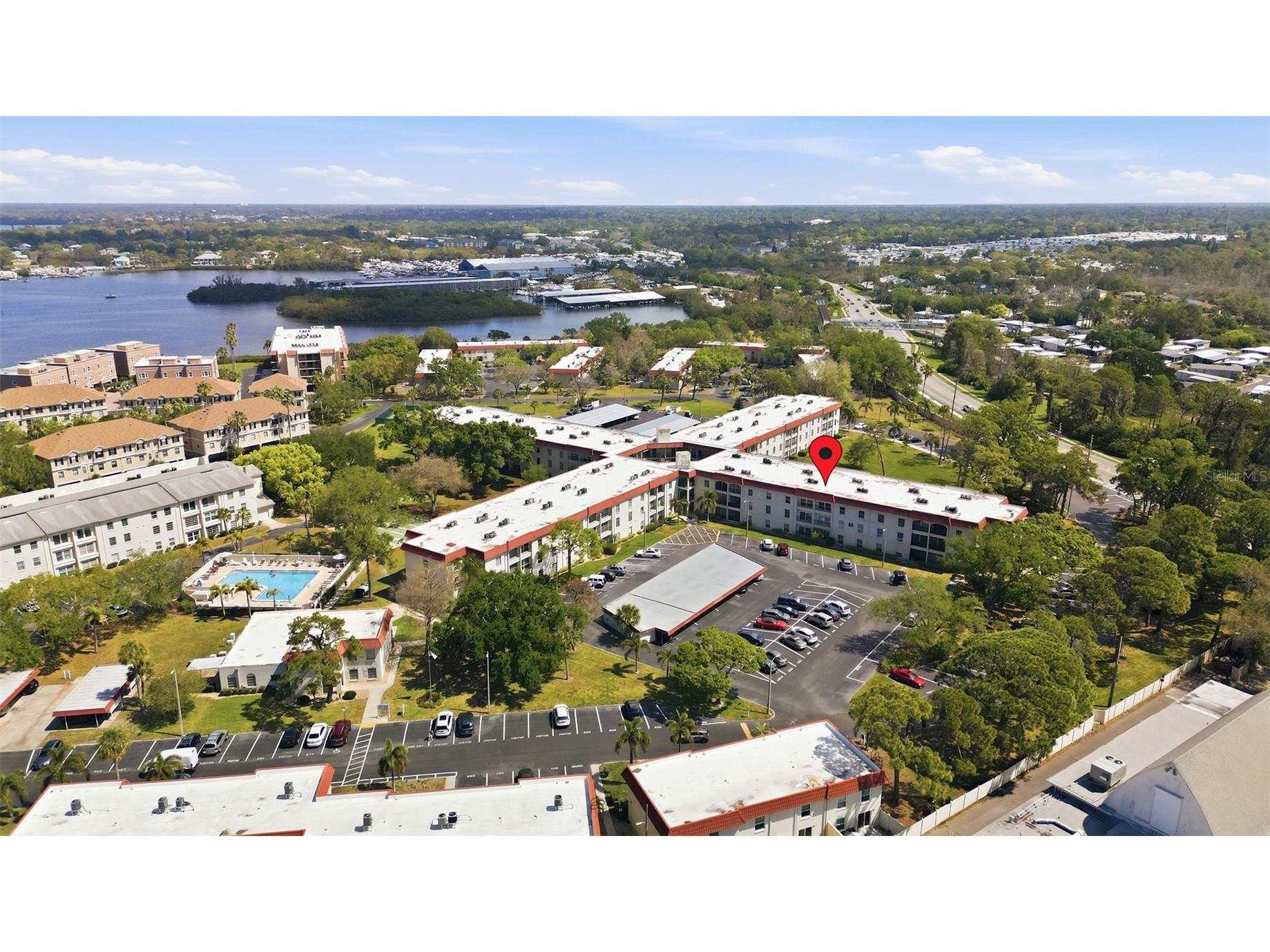 2700 Bayshore Boulevard #1307 Dunedin FL 34698 TB8492210 image40