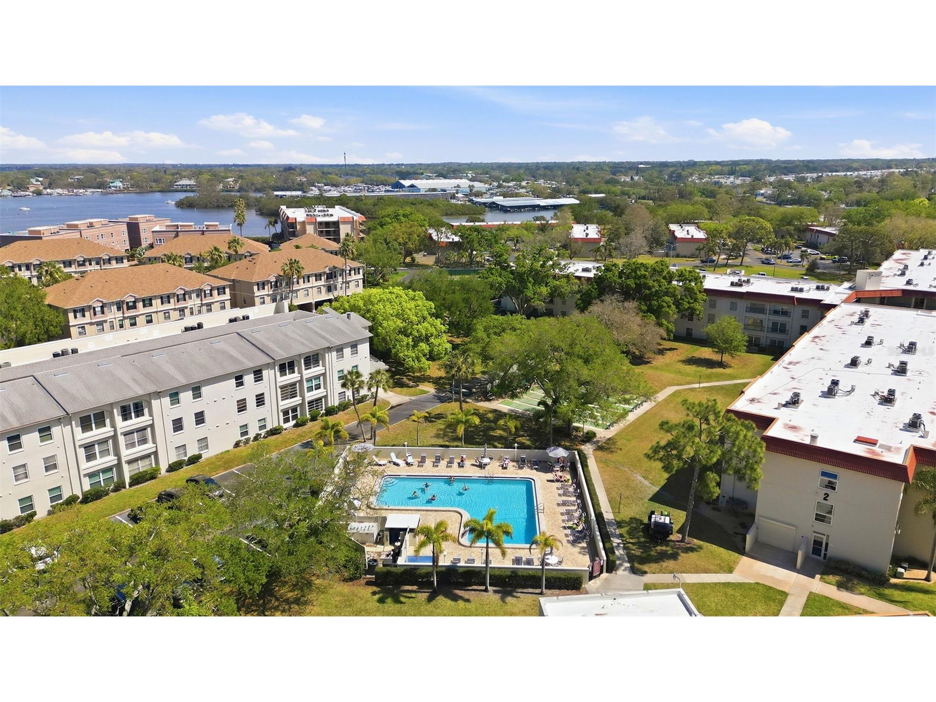 2700 Bayshore Boulevard #1307 Dunedin FL 34698 TB8492210 image42