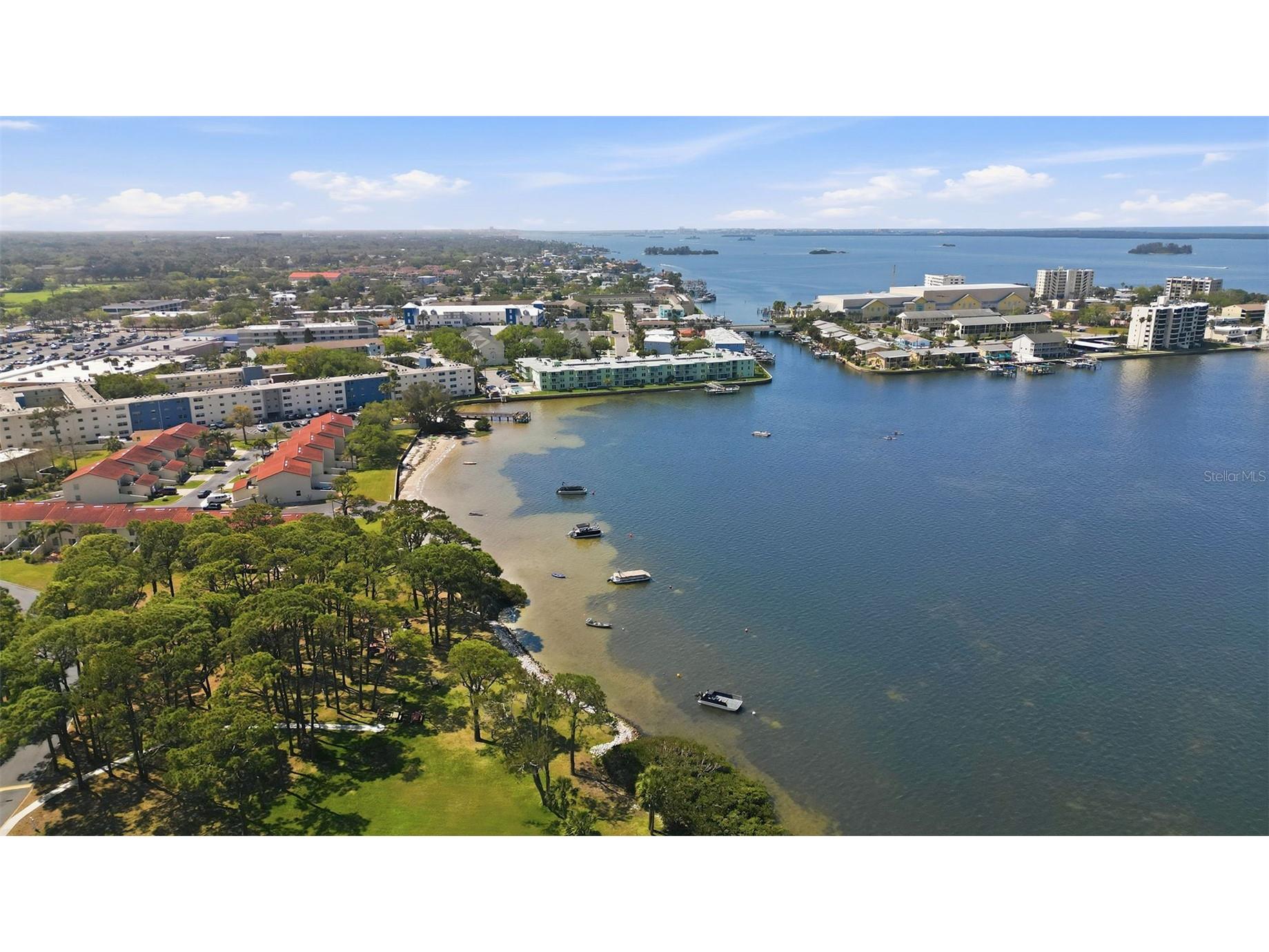 2700 Bayshore Boulevard #1307 Dunedin FL 34698 TB8492210 image46
