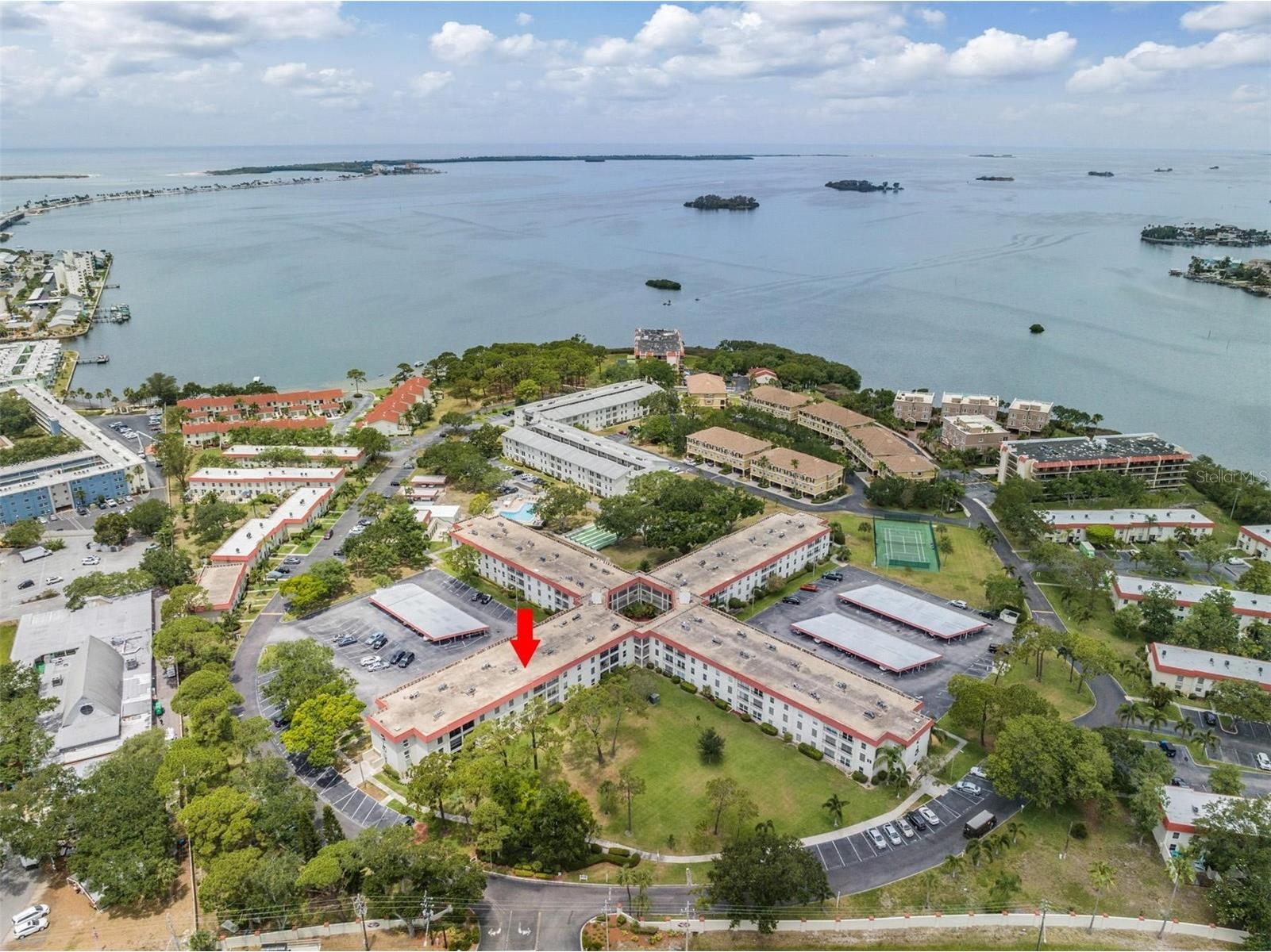 2700 Bayshore Boulevard #1308 Dunedin FL 34698 TB8496909 image1