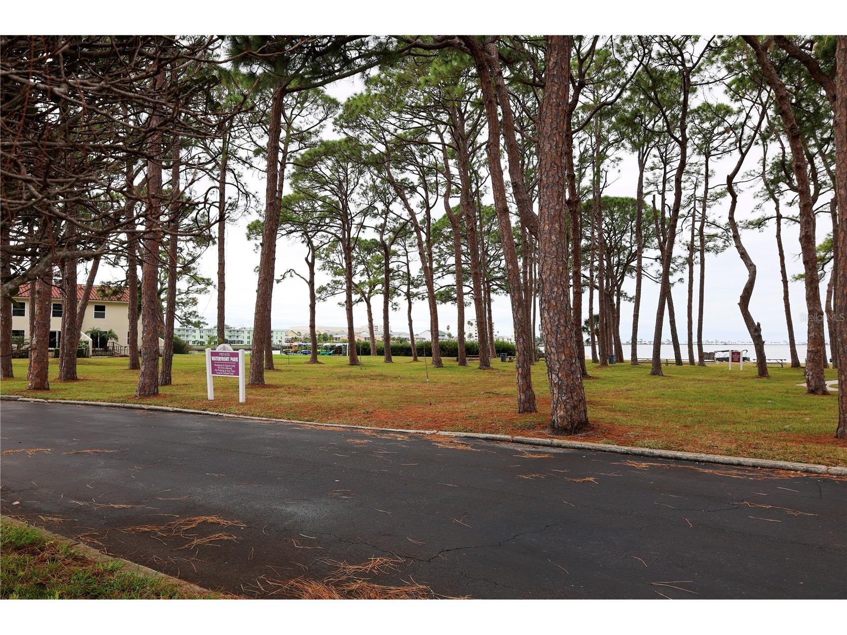 2700 Bayshore Boulevard #2105 Dunedin FL 34698 TB8453767 image24
