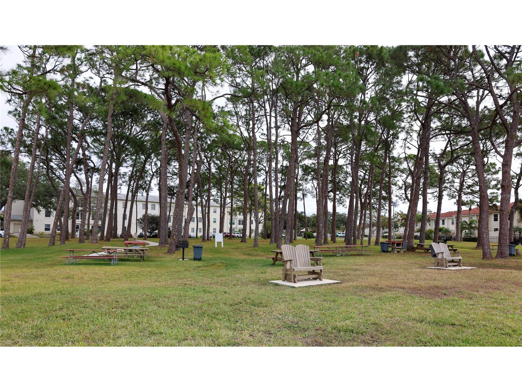 2700 Bayshore Boulevard #2105 Dunedin FL 34698 TB8453767 image25