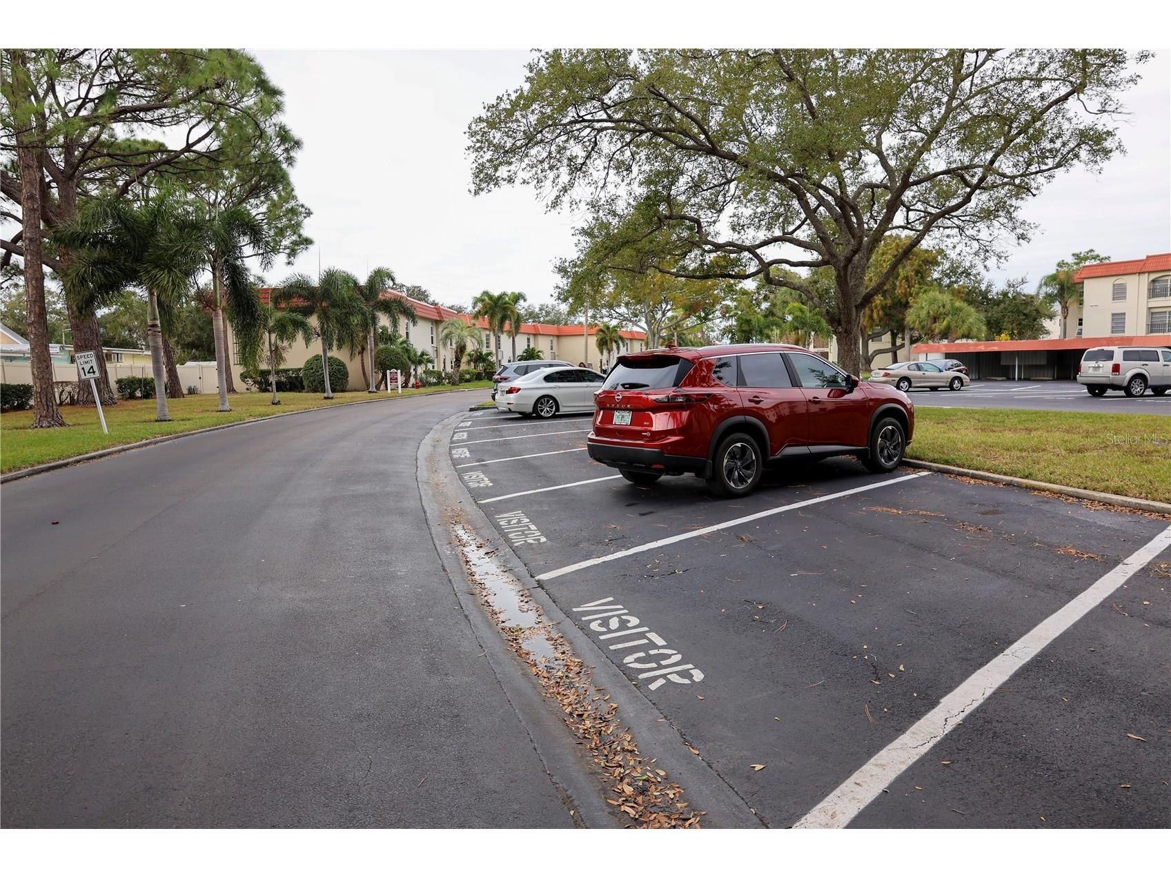 2700 Bayshore Boulevard #2105 Dunedin FL 34698 TB8453767 image32