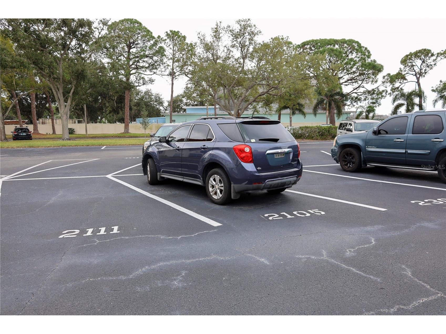 2700 Bayshore Boulevard #2105 Dunedin FL 34698 TB8453767 image33
