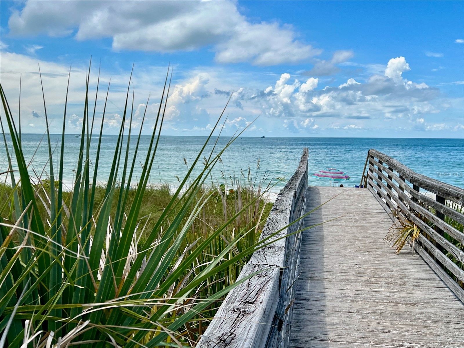 2700 Bayshore Boulevard #2108 Dunedin FL 34698 - ST. JOSEPH SOUND TB8529355 image33