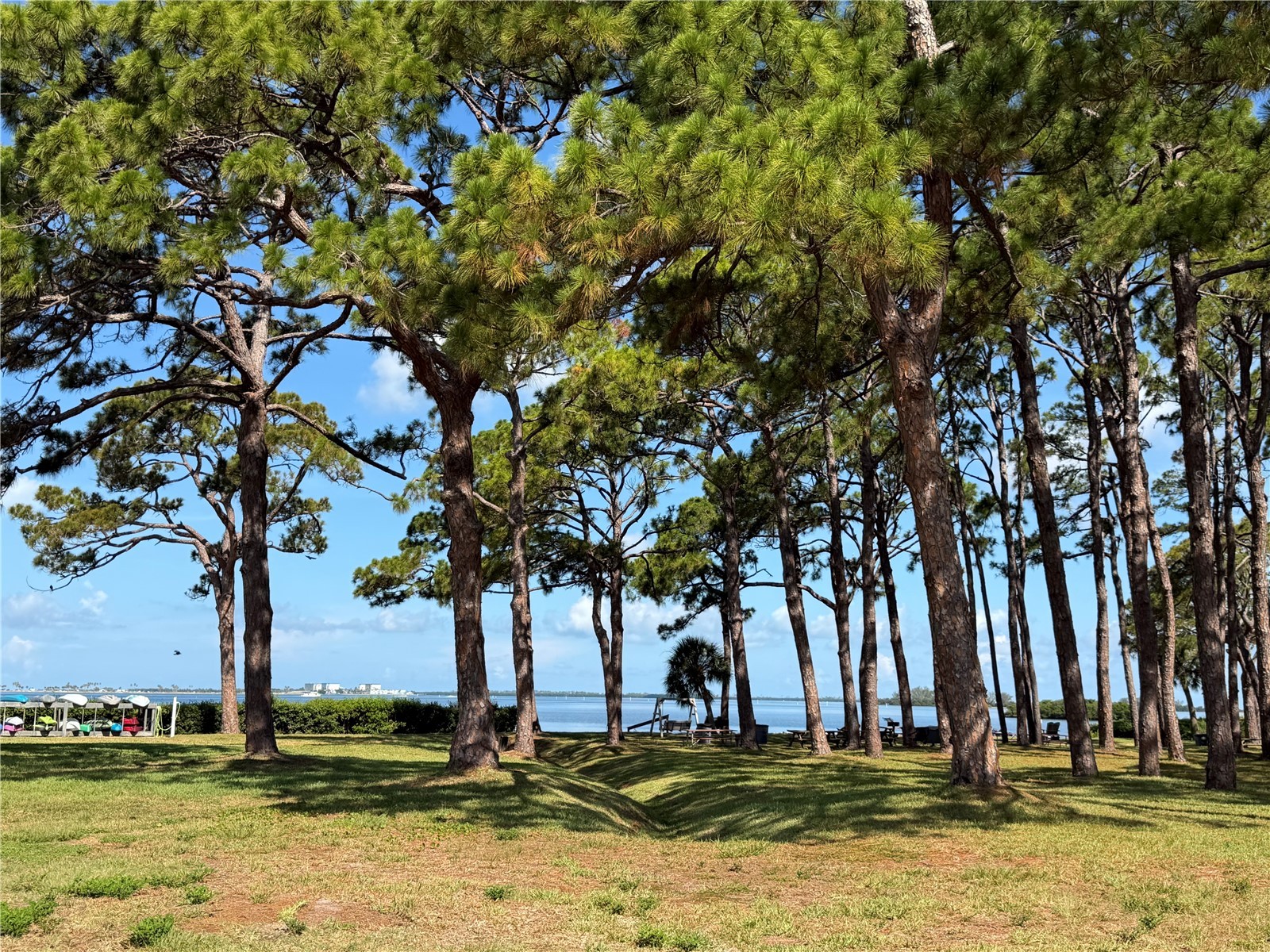2700 Bayshore Boulevard #2108 Dunedin FL 34698 - ST. JOSEPH SOUND TB8529355 image6