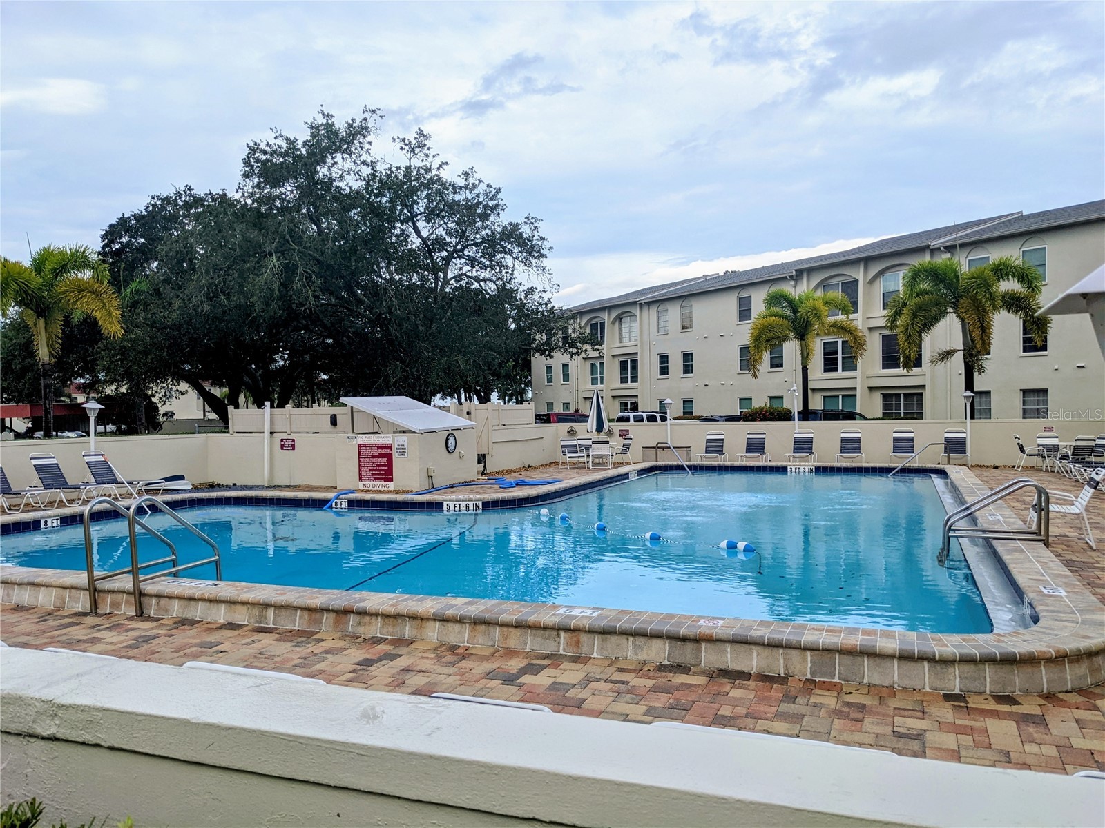 2700 Bayshore Boulevard #2111 Dunedin FL 34698 TB8464201 image2