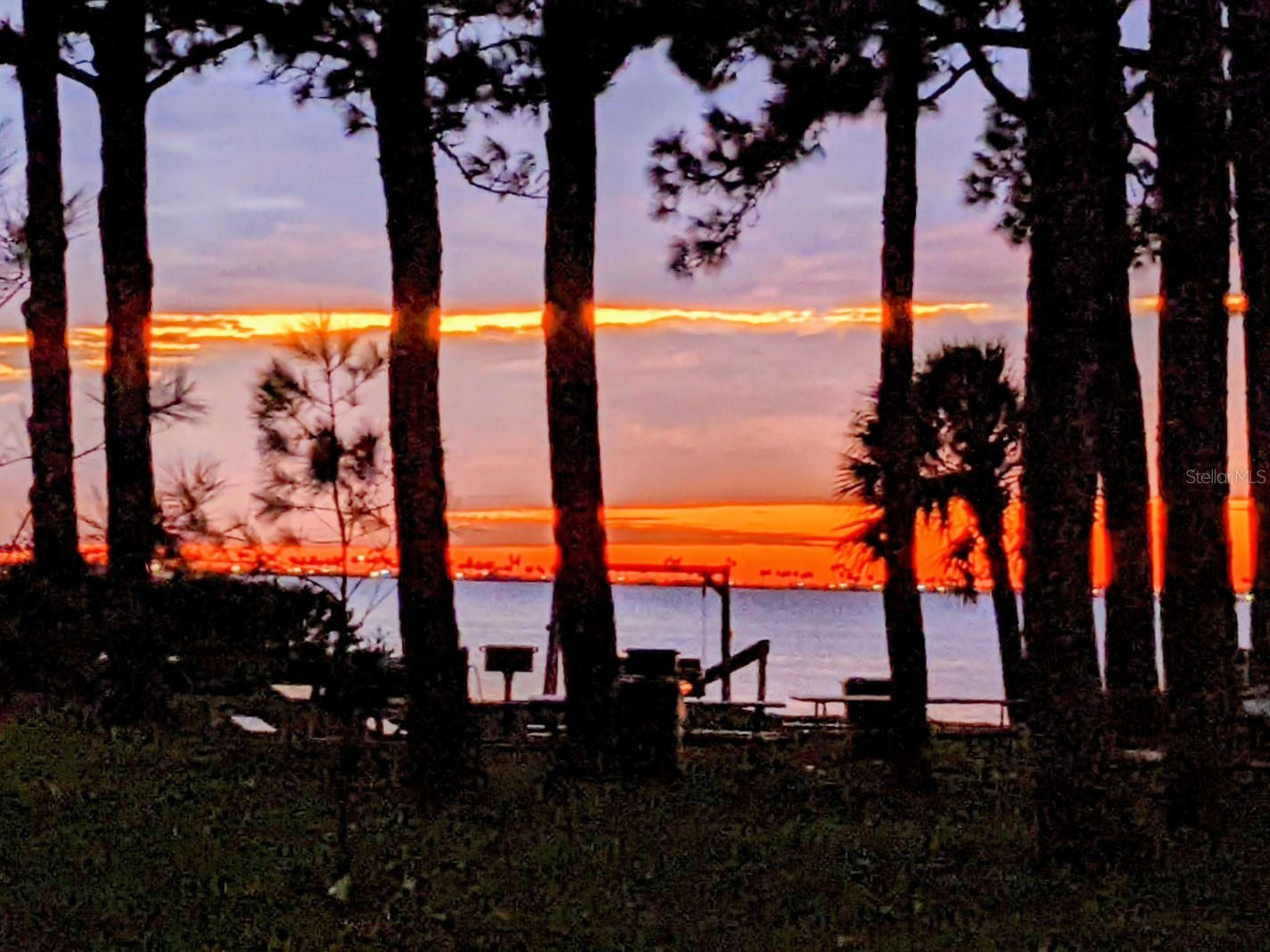 2700 Bayshore Boulevard #2111 Dunedin FL 34698 TB8464201 image3