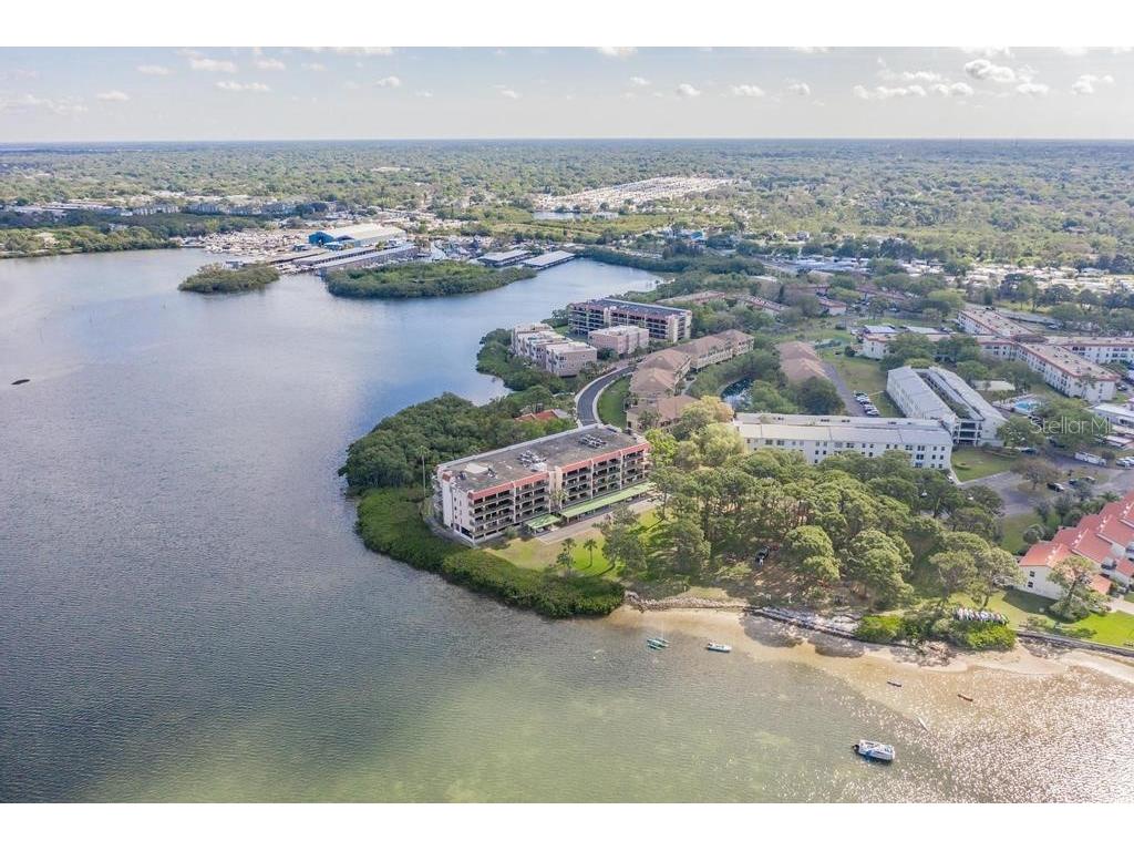 2700 Bayshore Boulevard #3205 Dunedin FL 34698 TB8502681 image21