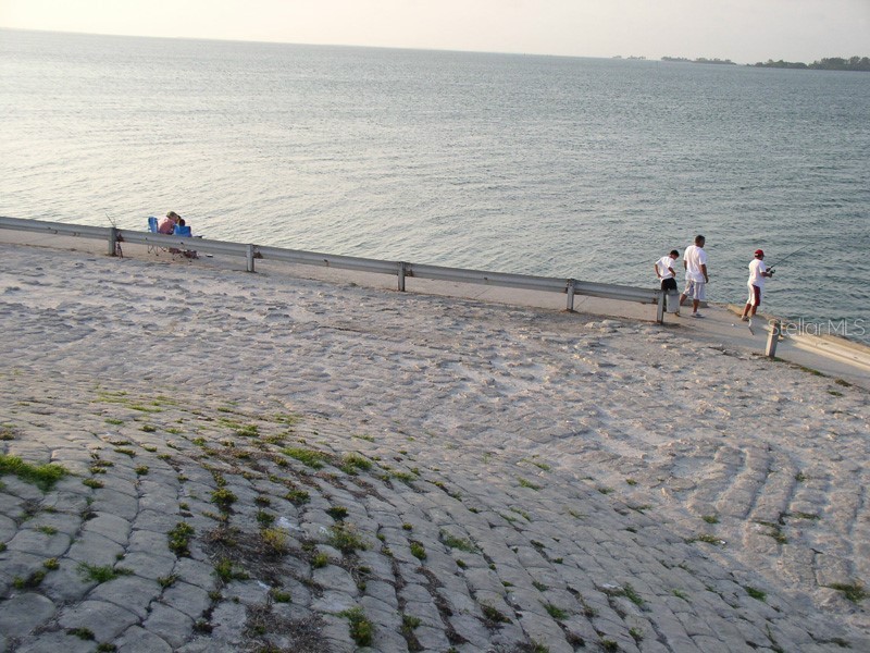 2700 Bayshore Boulevard #3205 Dunedin FL 34698 TB8502681 image28