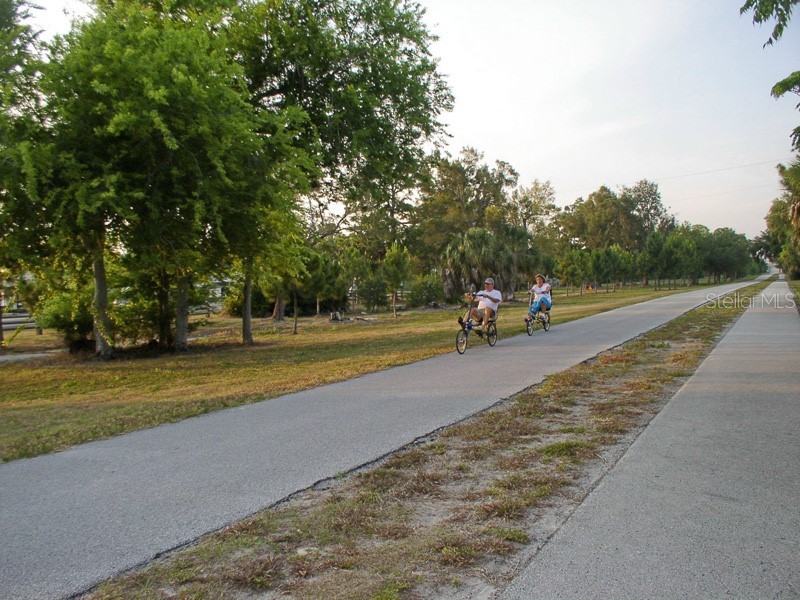2700 Bayshore Boulevard #3205 Dunedin FL 34698 TB8502681 image29