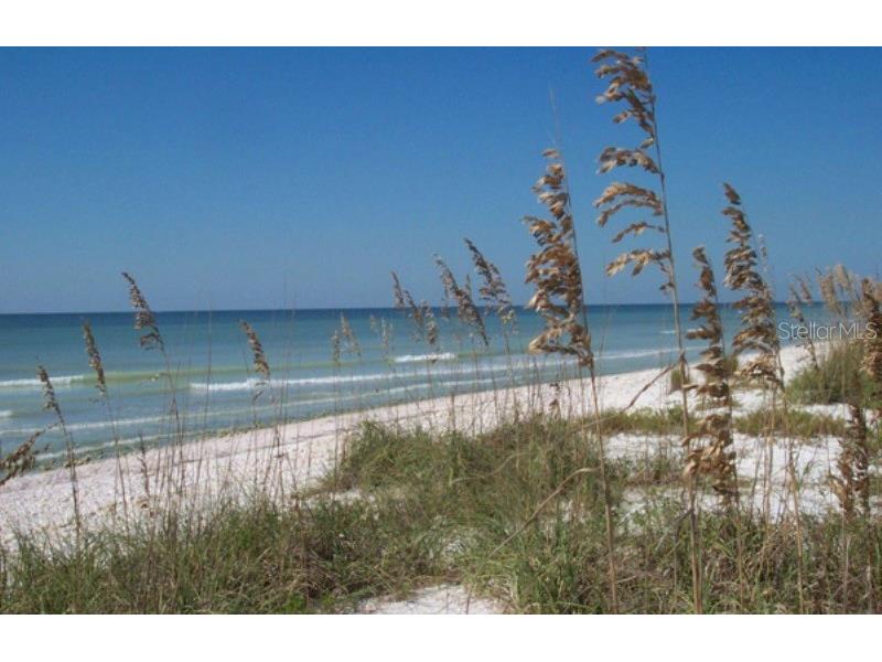 2700 Bayshore Boulevard #3205 Dunedin FL 34698 TB8502681 image30
