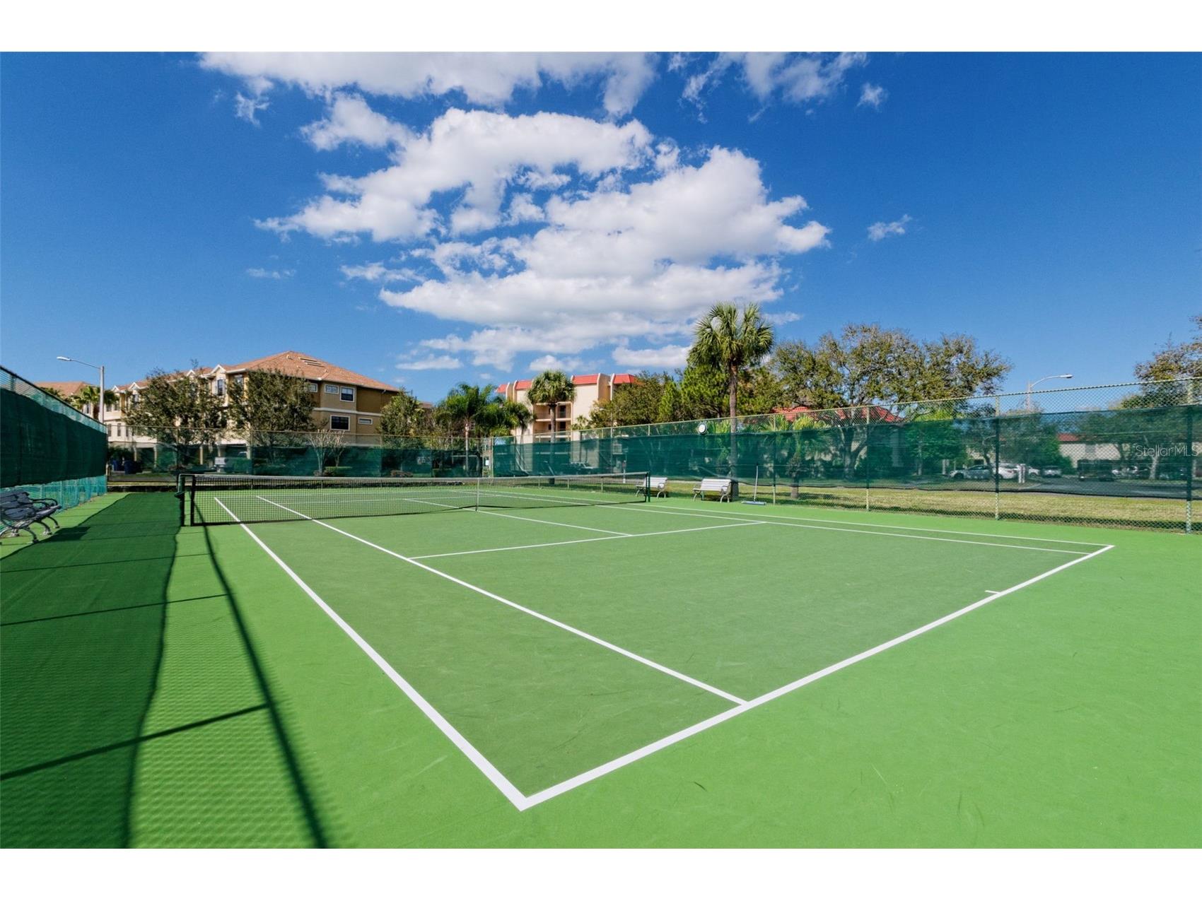 2700 Bayshore Boulevard #3310 Dunedin FL 34698 - ST JOSEPH SOUND/INTRACOASTAL/G TB8470451 image29