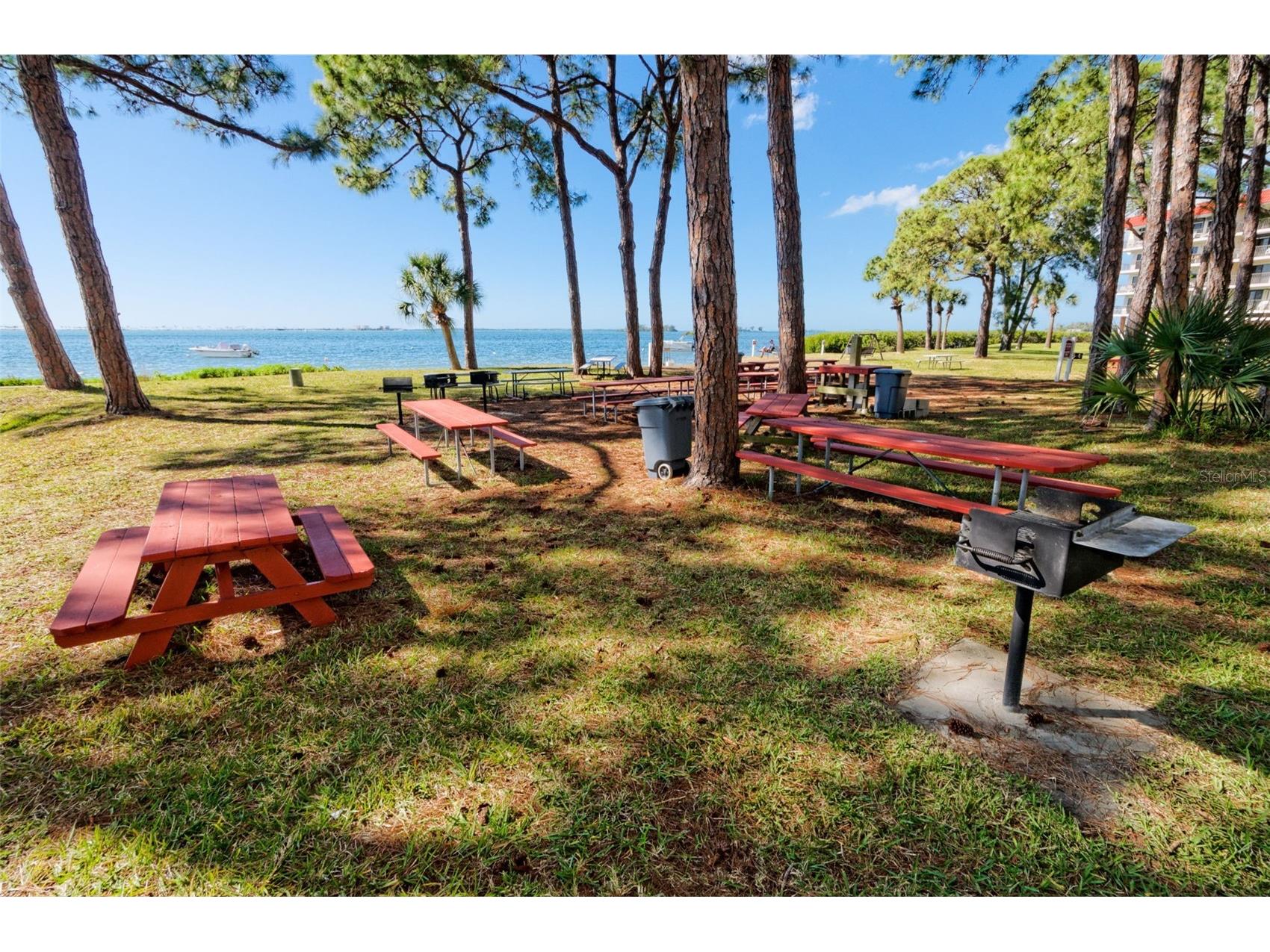 2700 Bayshore Boulevard #3310 Dunedin FL 34698 - ST JOSEPH SOUND/INTRACOASTAL/G TB8470451 image31