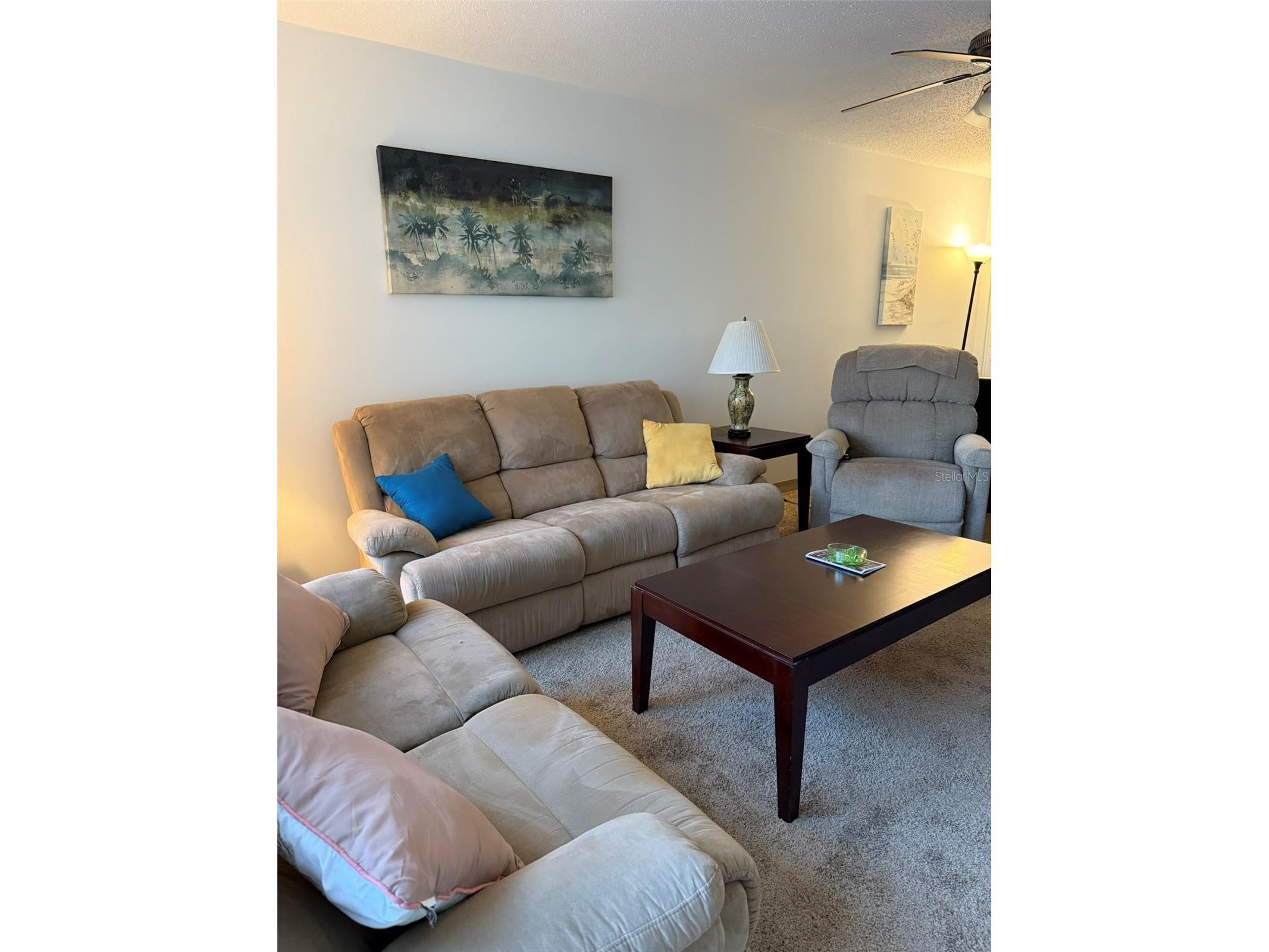 2700 Bayshore Boulevard #4103 Dunedin FL 34698 TB8481456 image13