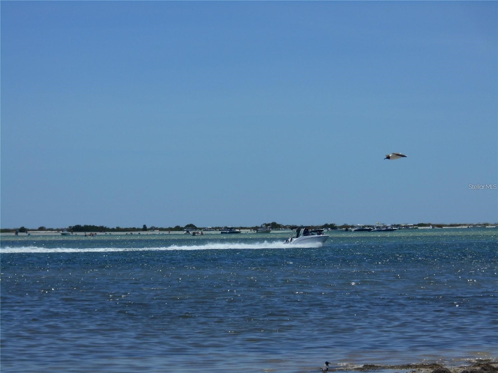 2700 Bayshore Boulevard #4103 Dunedin FL 34698 TB8481456 image33