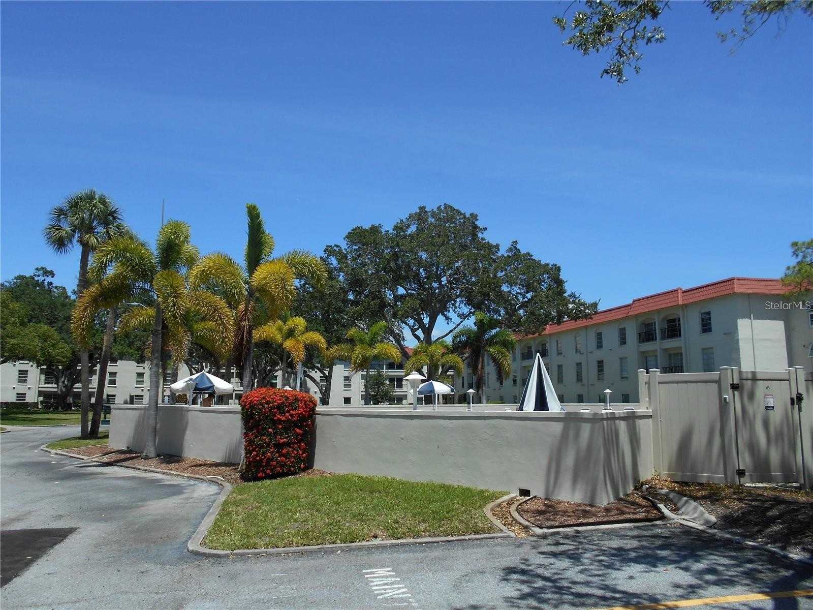 2700 Bayshore Boulevard #4103 Dunedin FL 34698 TB8481456 image34