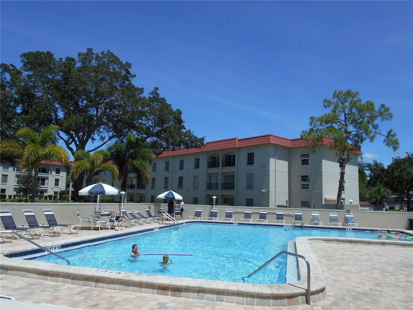 2700 Bayshore Boulevard #4103 Dunedin FL 34698 TB8516891 image24