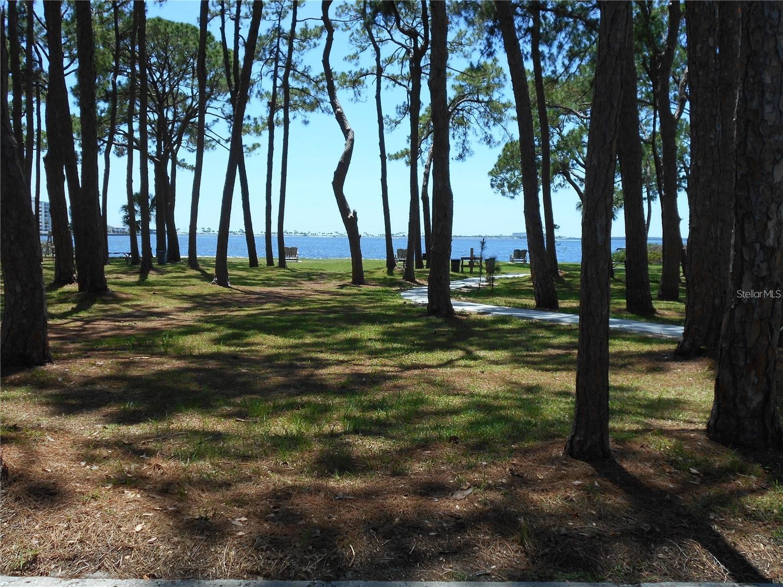 2700 Bayshore Boulevard #4103 Dunedin FL 34698 TB8516891 image28