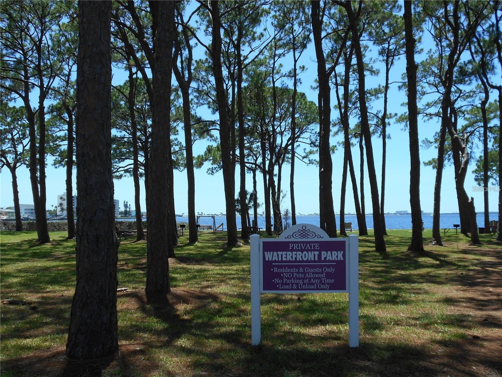 2700 Bayshore Boulevard #4103 Dunedin FL 34698 TB8516891 image29