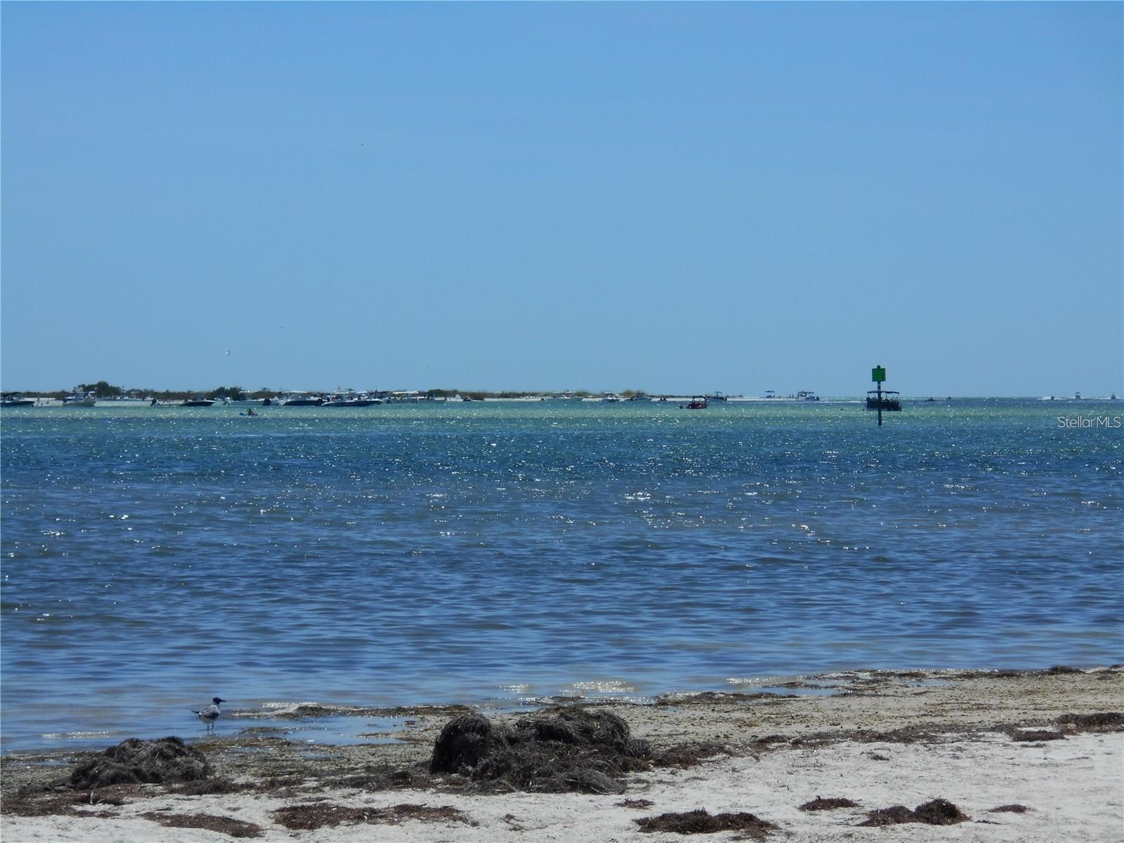 2700 Bayshore Boulevard #4103 Dunedin FL 34698 TB8516891 image30