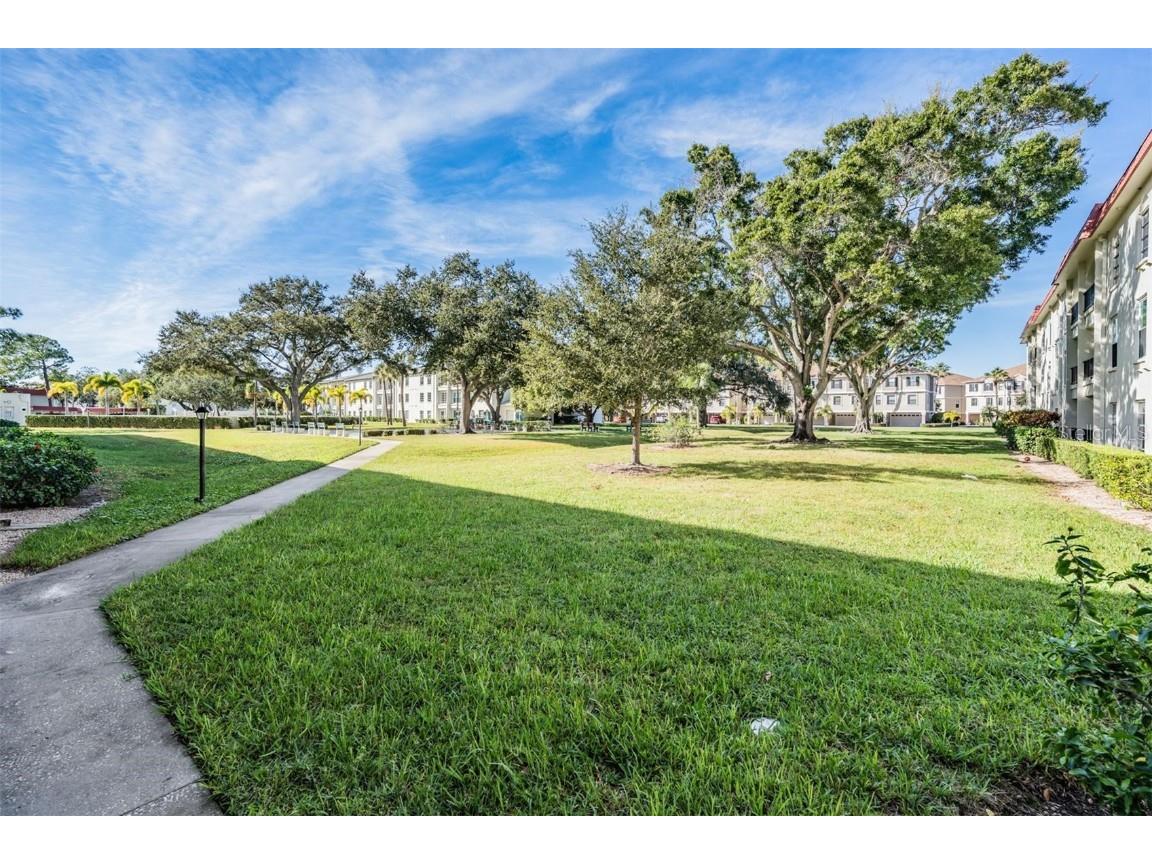 2700 Bayshore Boulevard #4104 Dunedin FL 34698 TB8447169 image12