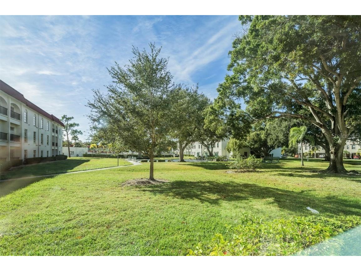 2700 Bayshore Boulevard #4104 Dunedin FL 34698 TB8447169 image2