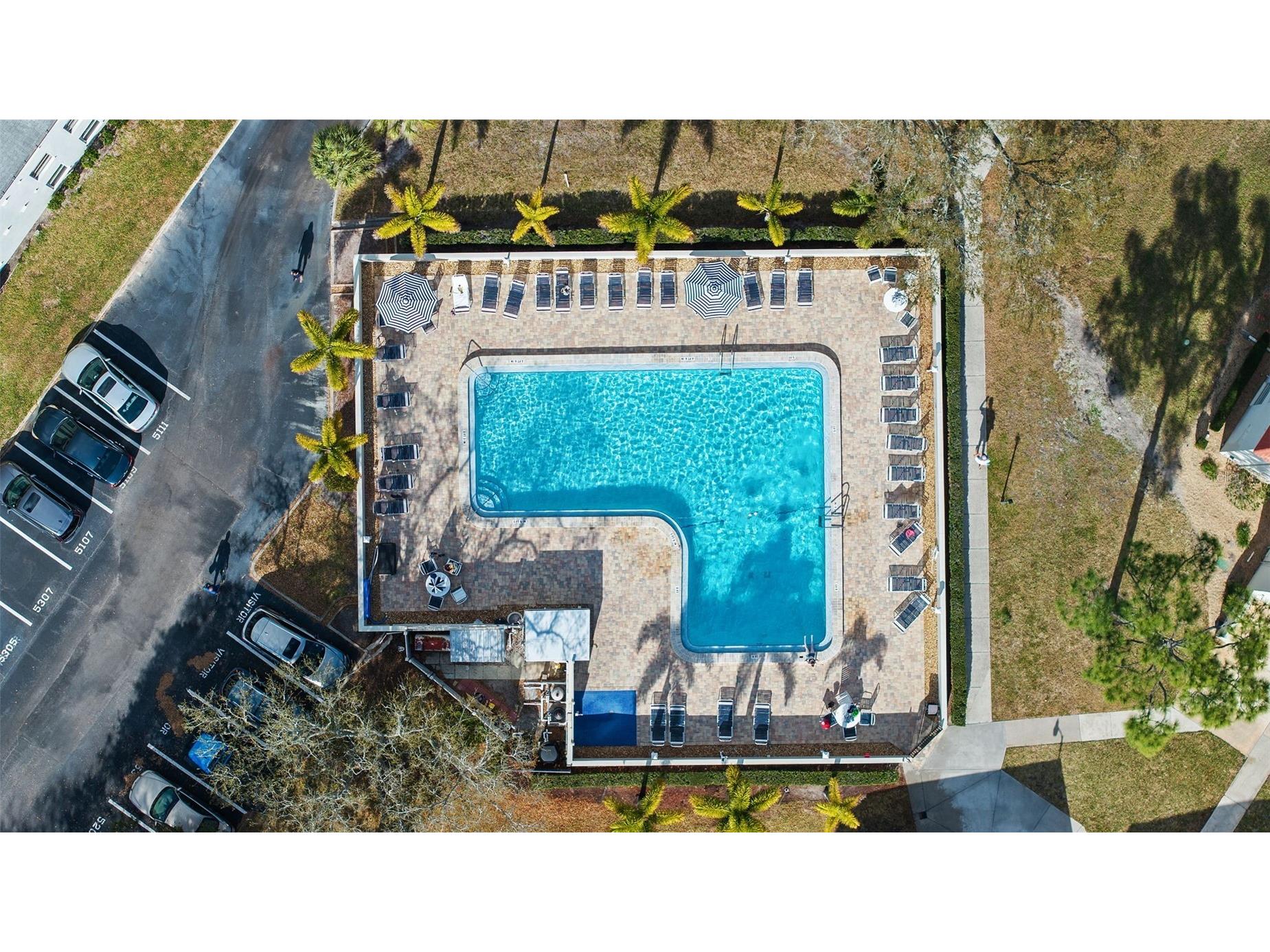 2700 Bayshore Boulevard #4106 Dunedin FL 34698 TB8478493 image26