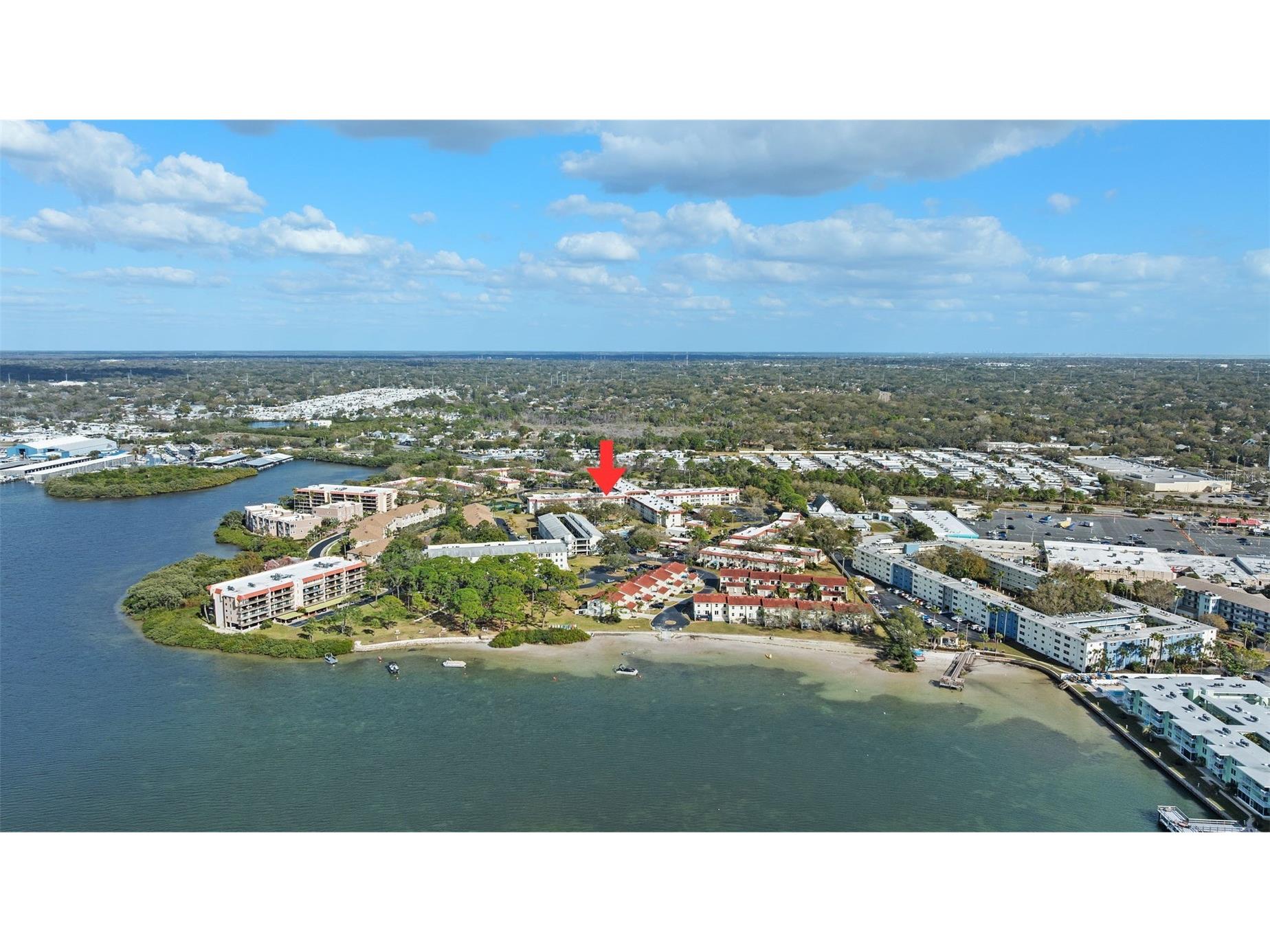 2700 Bayshore Boulevard #4106 Dunedin FL 34698 TB8478493 image27