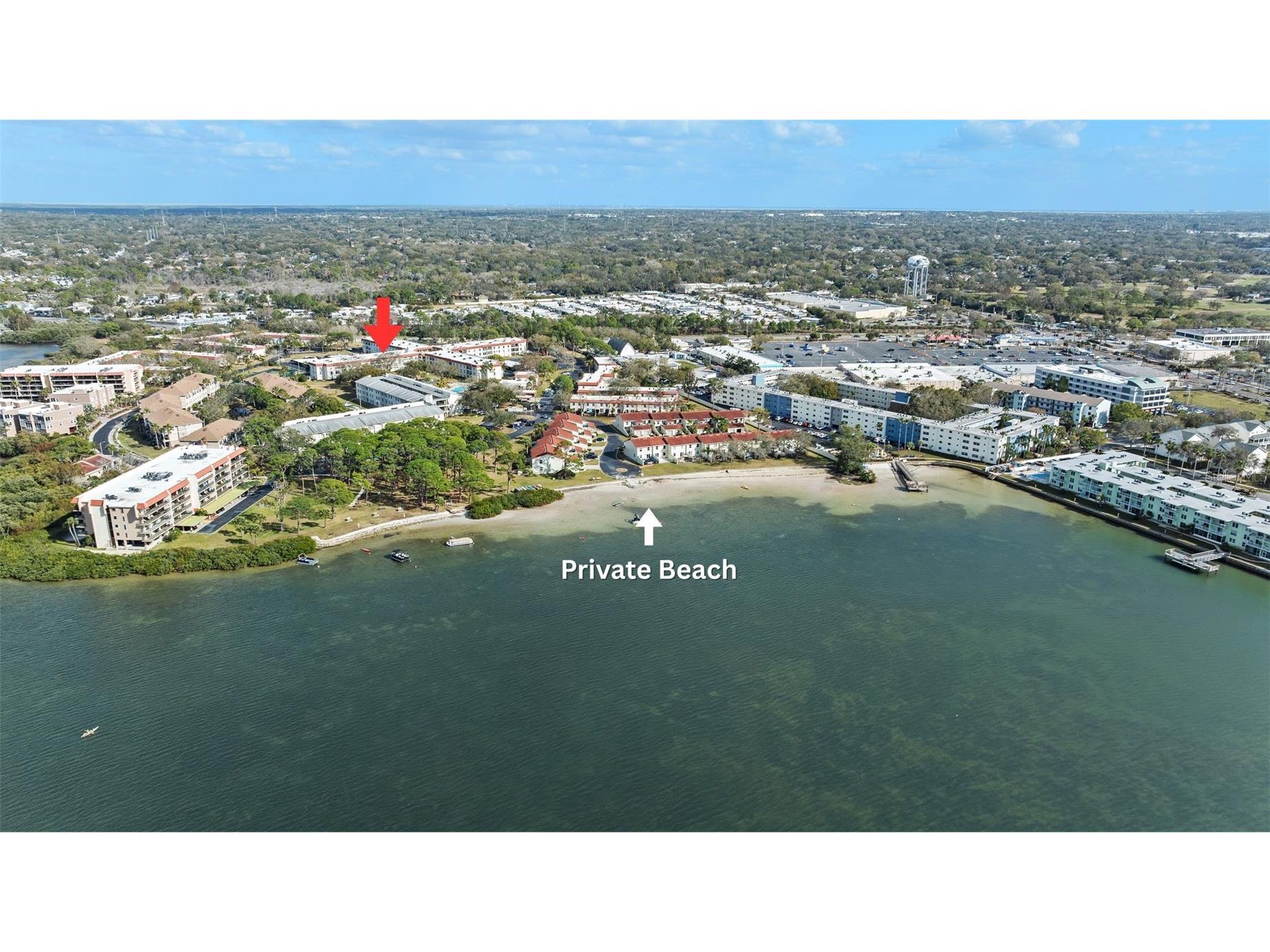 2700 Bayshore Boulevard #4106 Dunedin FL 34698 TB8478493 image28