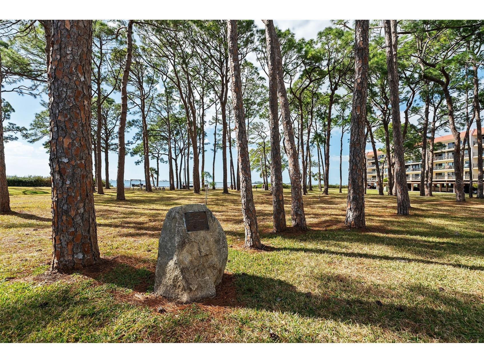 2700 Bayshore Boulevard #4106 Dunedin FL 34698 TB8478493 image33