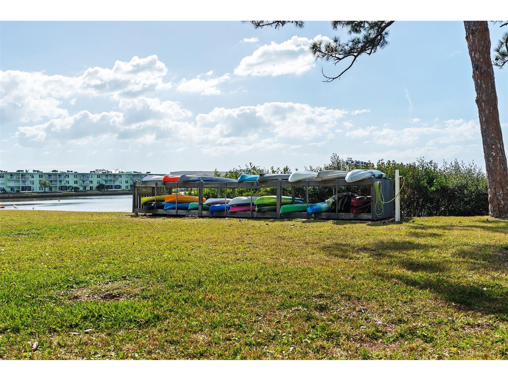 2700 Bayshore Boulevard #4106 Dunedin FL 34698 TB8478493 image34