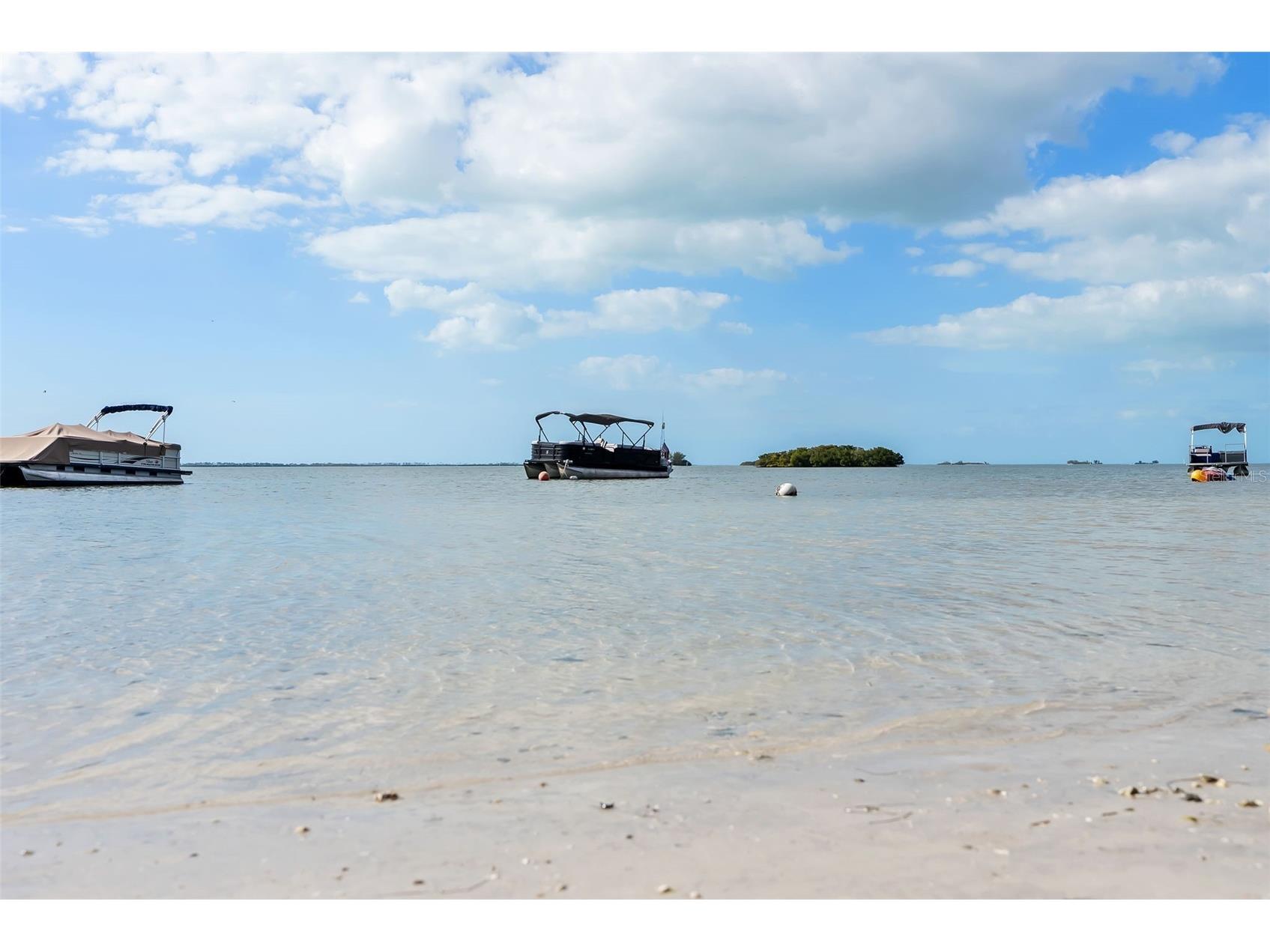 2700 Bayshore Boulevard #4106 Dunedin FL 34698 TB8478493 image37