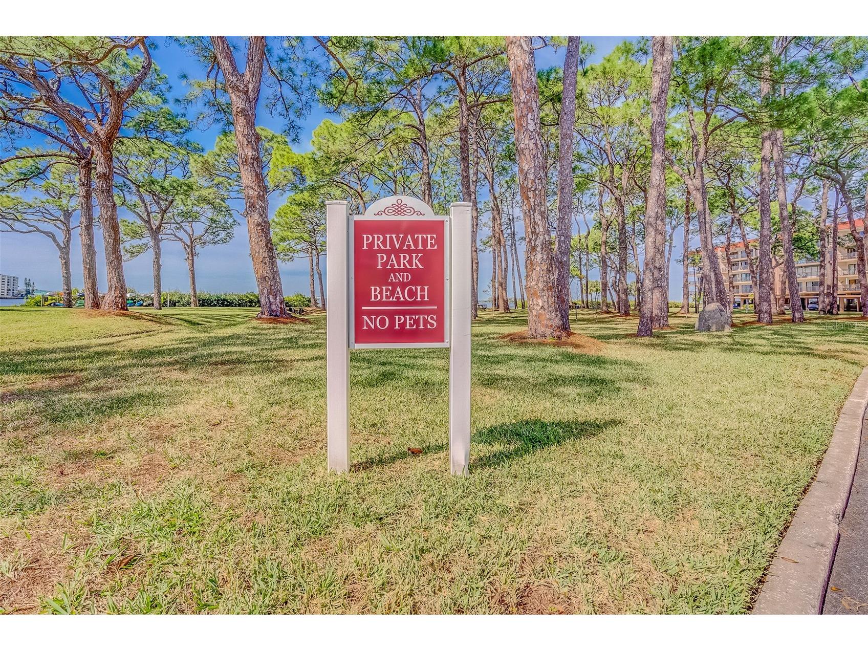 2700 Bayshore Boulevard #4109 Dunedin FL 34698 TB8464434 image29