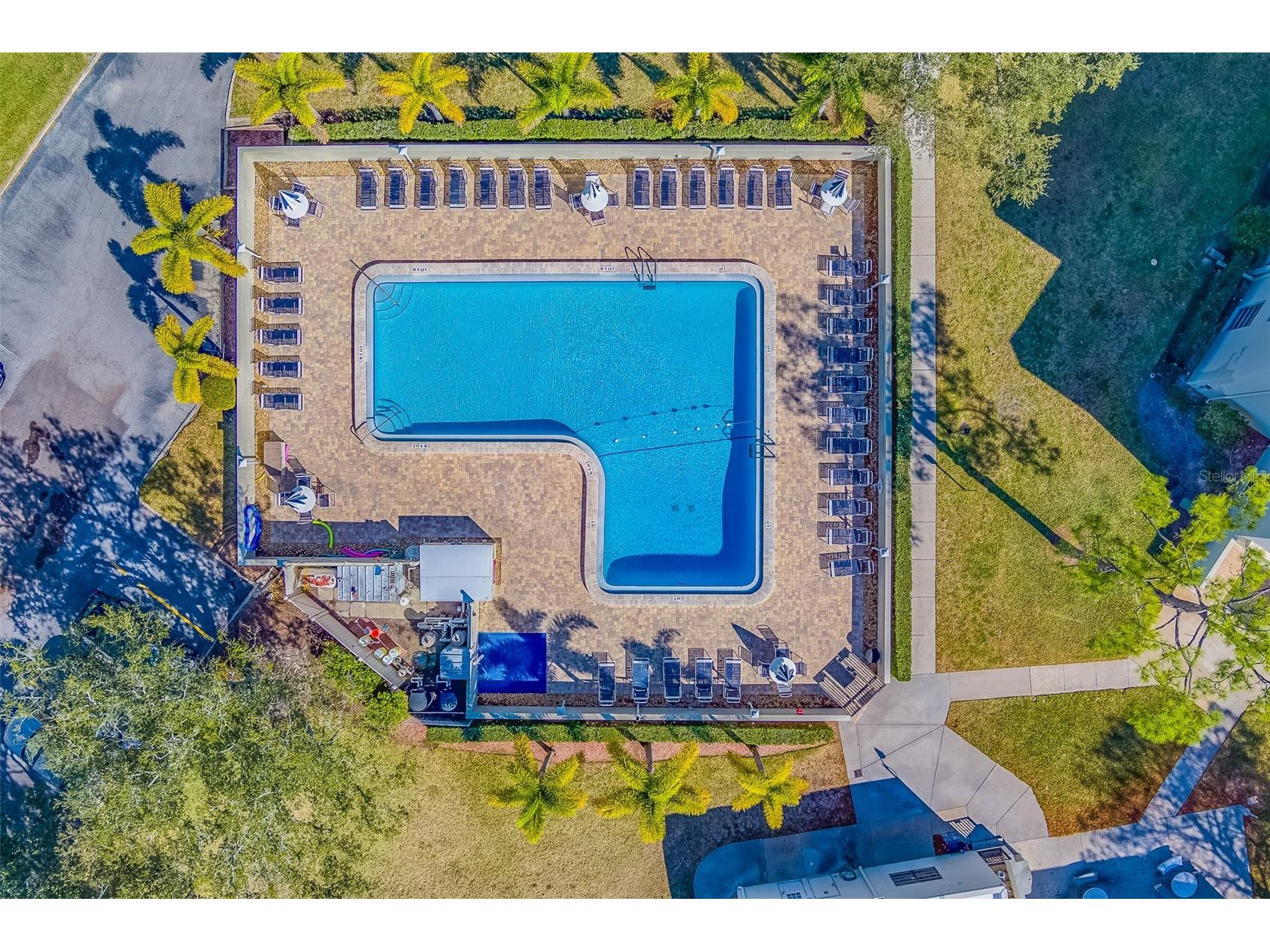 2700 Bayshore Boulevard #4109 Dunedin FL 34698 TB8464434 image30