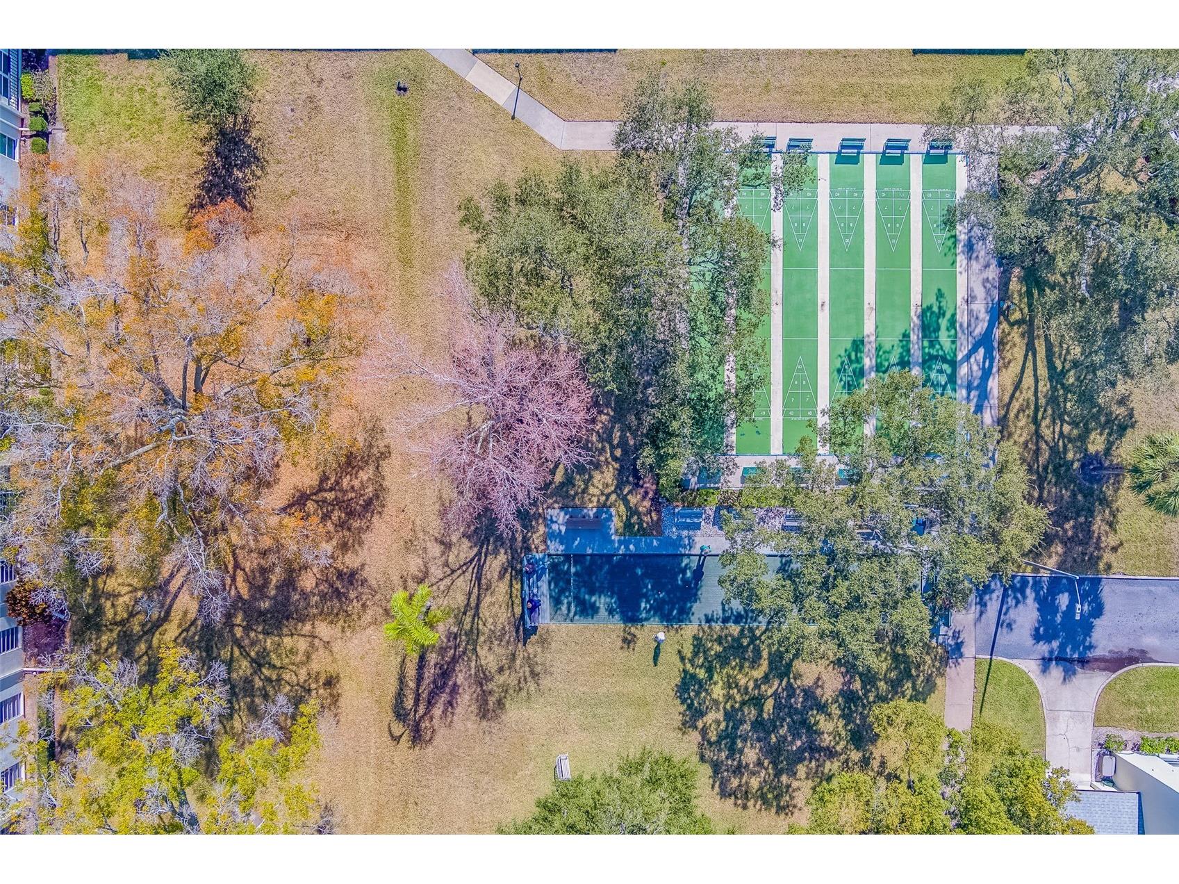 2700 Bayshore Boulevard #4109 Dunedin FL 34698 TB8464434 image33