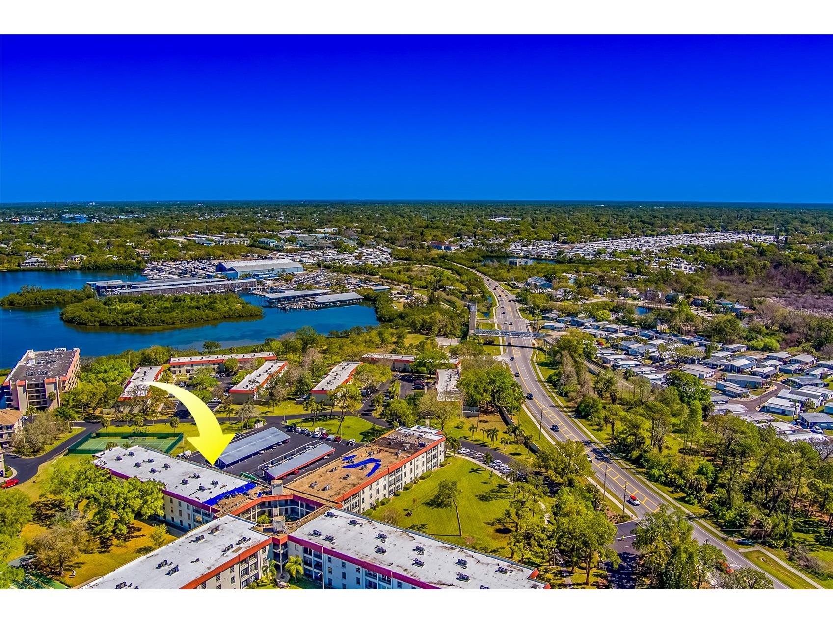 2700 Bayshore Boulevard #4109 Dunedin FL 34698 TB8464434 image41