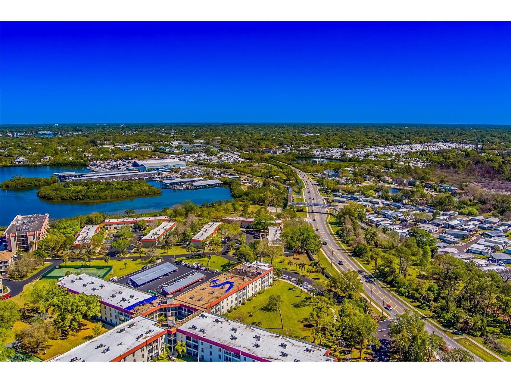 2700 Bayshore Boulevard #4109 Dunedin FL 34698 TB8464434 image42