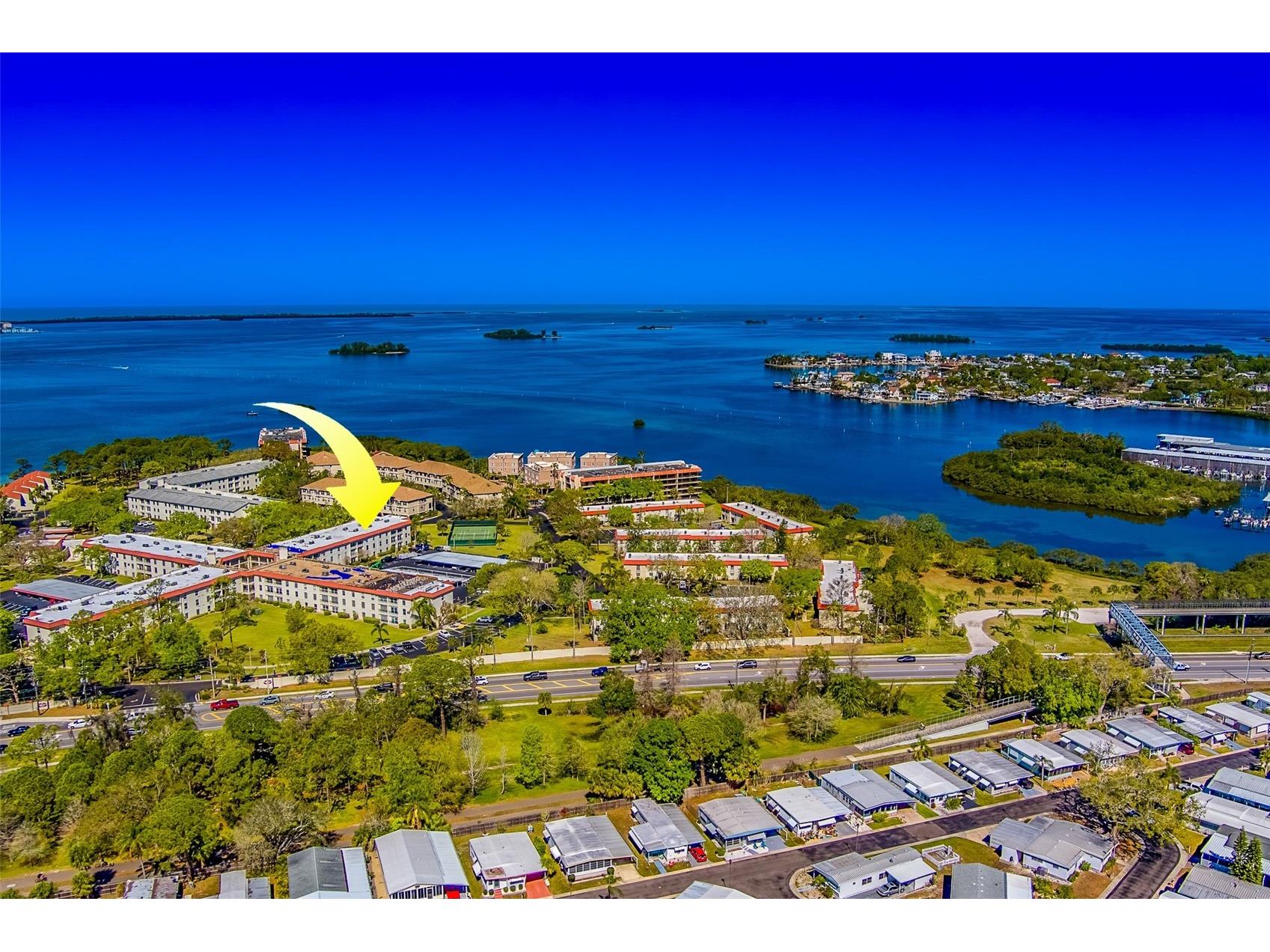 2700 Bayshore Boulevard #4109 Dunedin FL 34698 TB8464434 image43