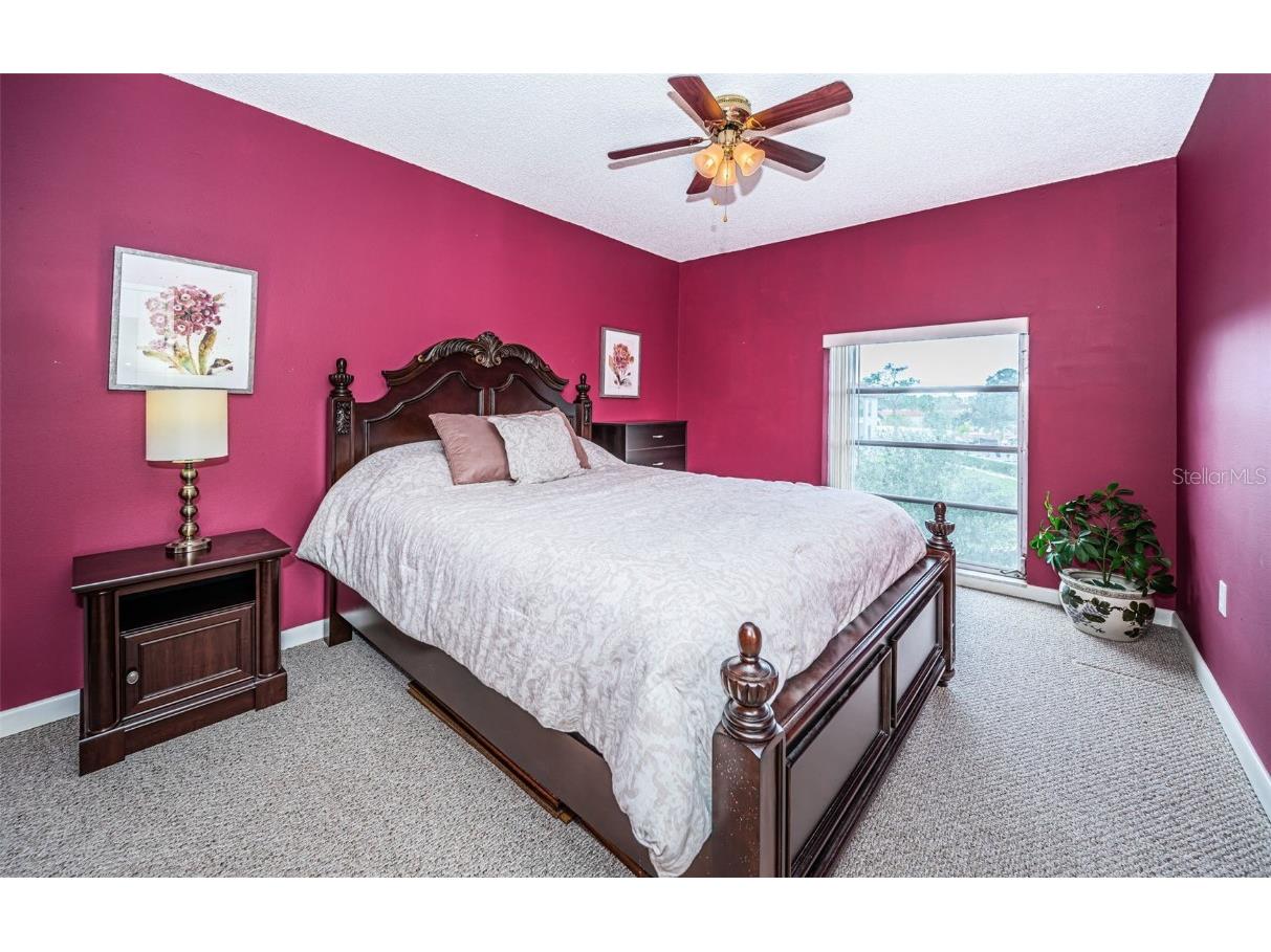 2700 Bayshore Boulevard #4304 Dunedin FL 34698 TB8322582 image16