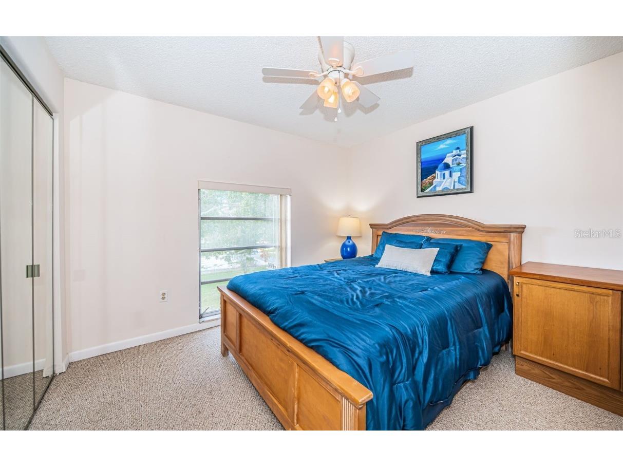 2700 Bayshore Boulevard #4304 Dunedin FL 34698 TB8322582 image19